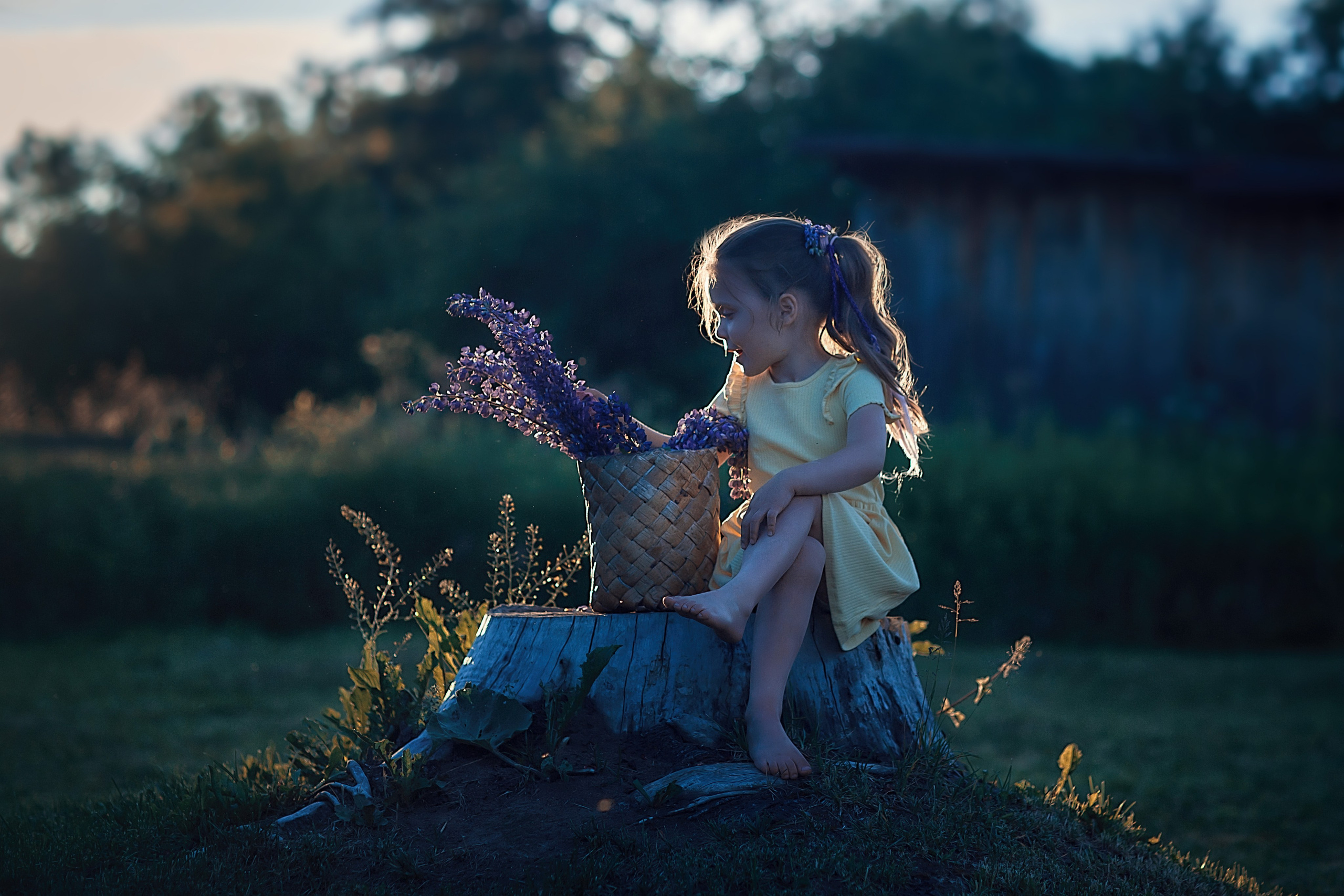 Люпины_Псковская область. Семейный фотограф в Санкт-Петербурге
