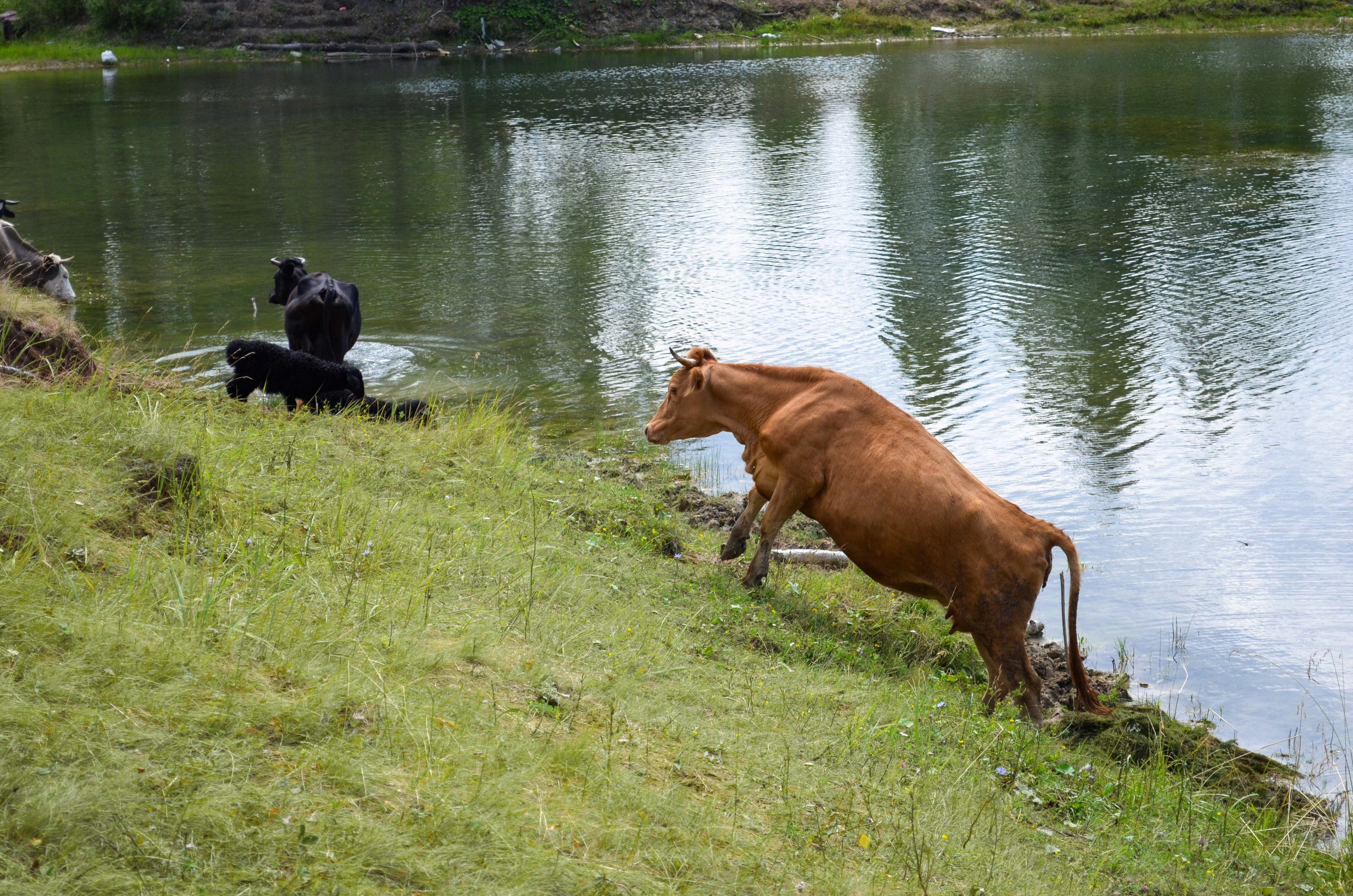 Nature. Stan Sidel’s Art