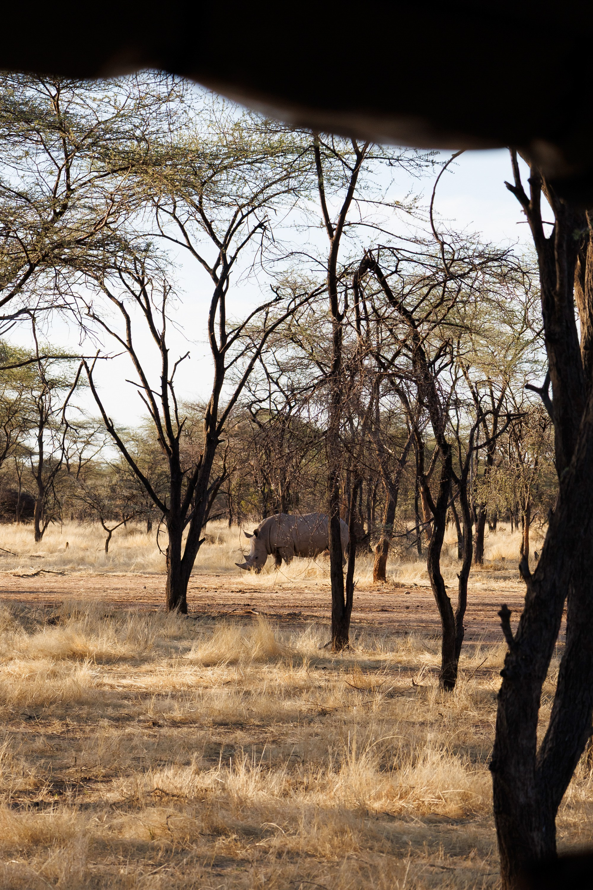 НАМИБИЯ. Роадтрип