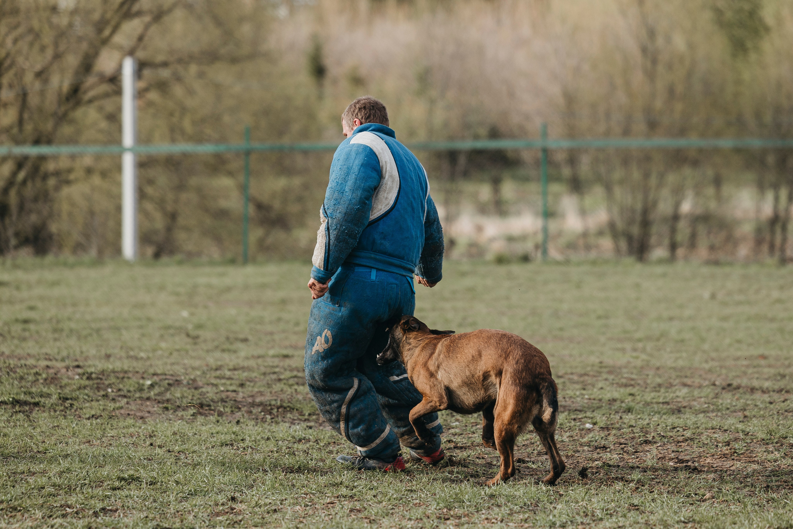 09.05.25 Вологда соревнования. Фотограф-анималист Анна Маринич