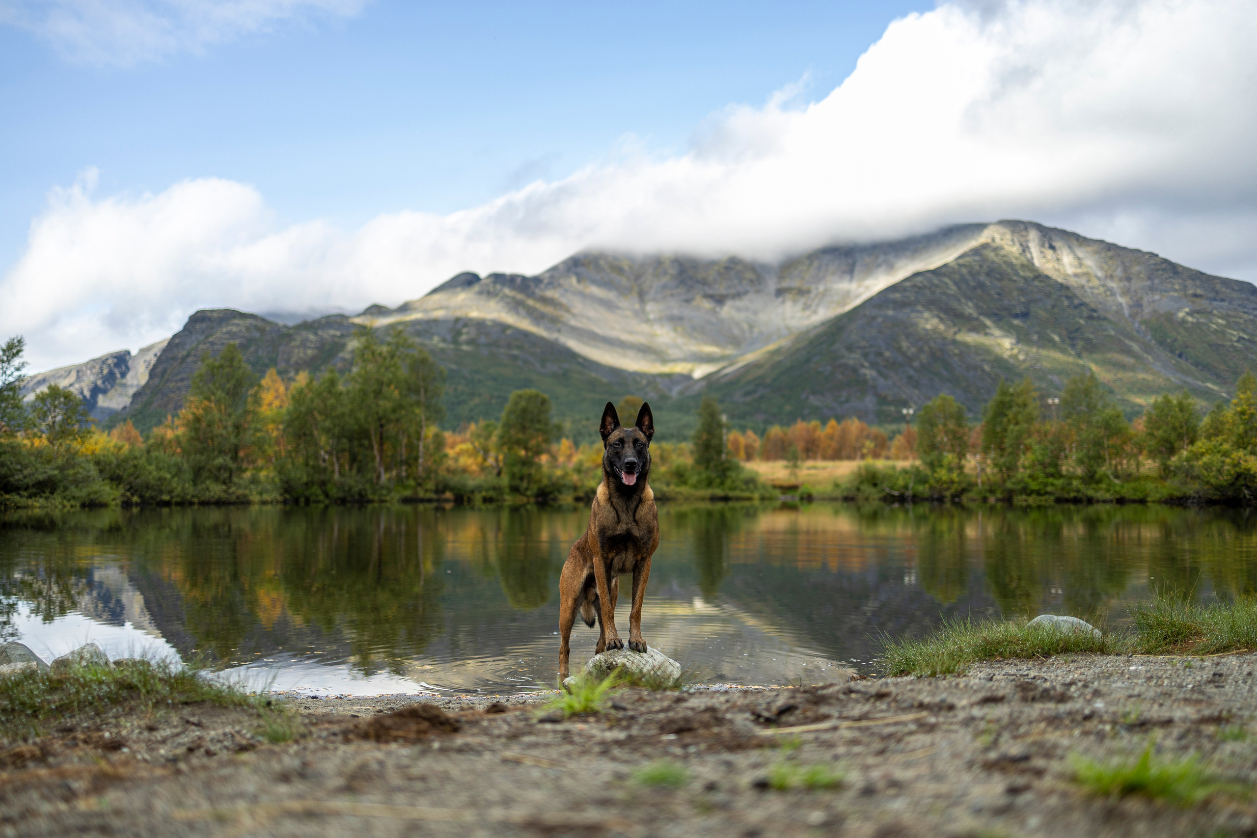 Горы. Фотограф-анималист Анна Маринич
