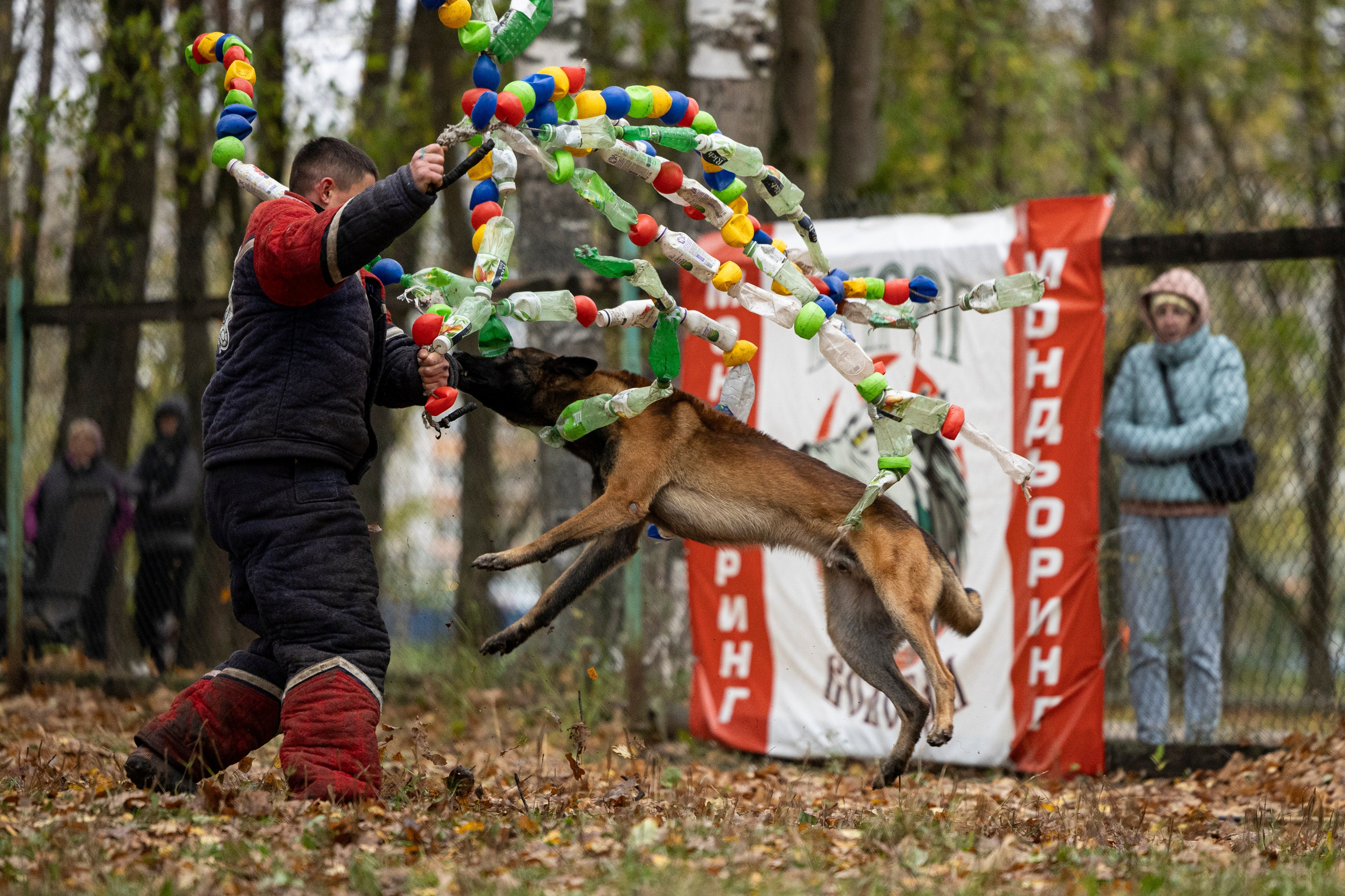 Соревнования по Мондьорингу г. Вологда. Фотограф-анималист Анна Маринич