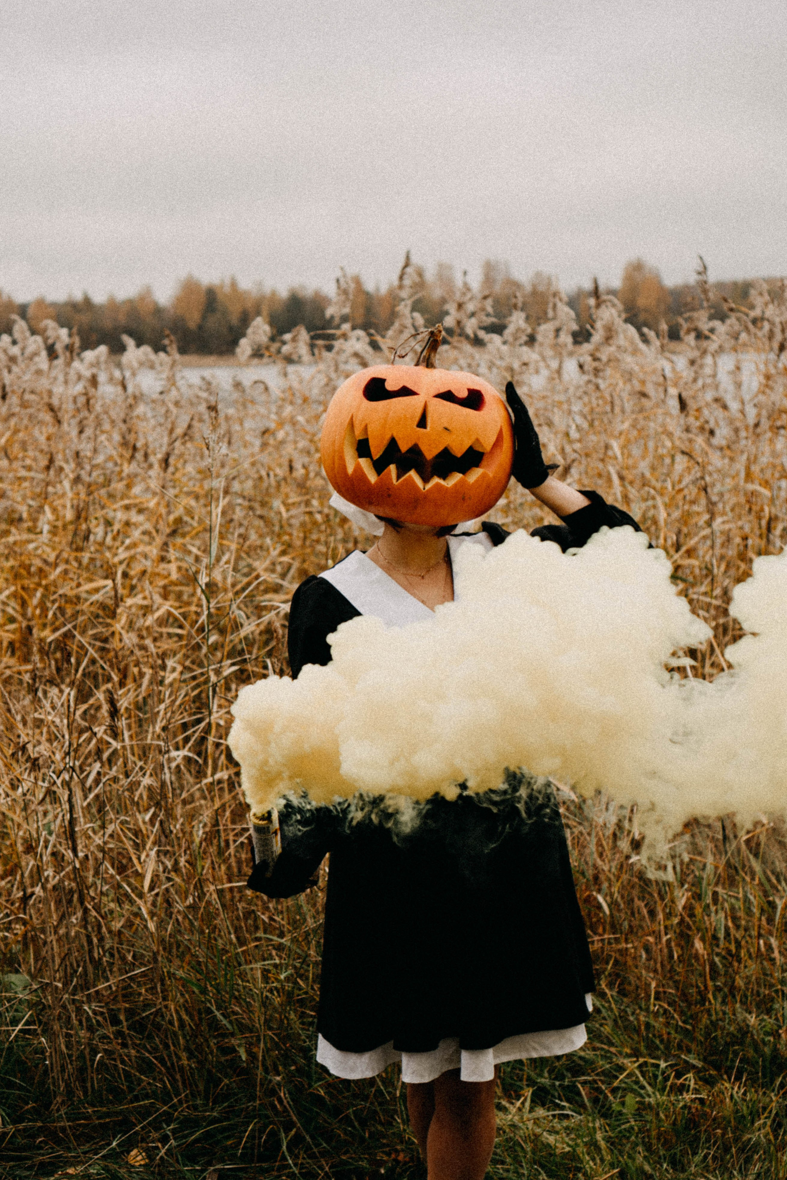 Осеняя. Профессиональный фотограф, Санкт-Петербург — Виктория Богомолова