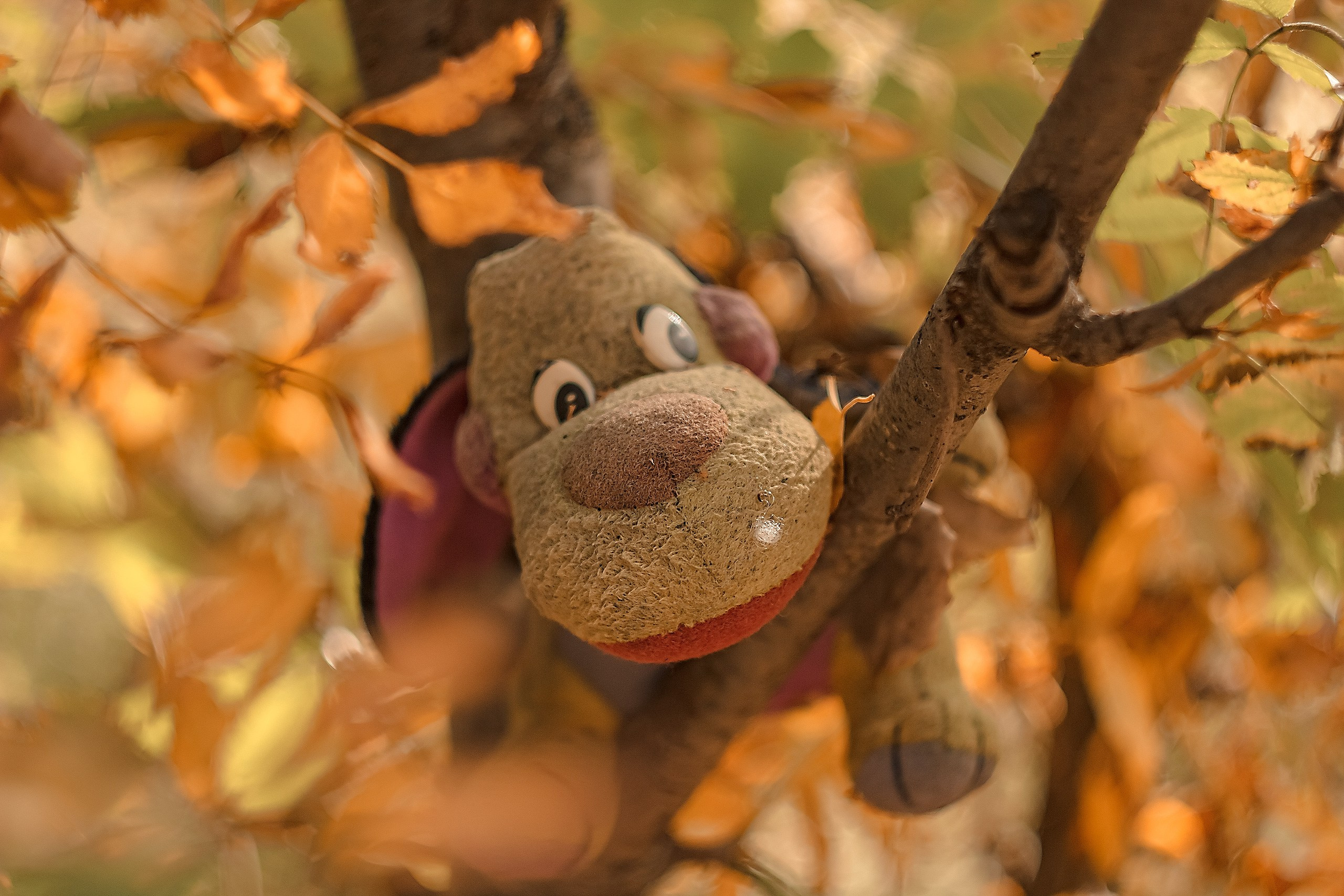 Иногда нужно просто уйти. Аmat Victoria Сuram