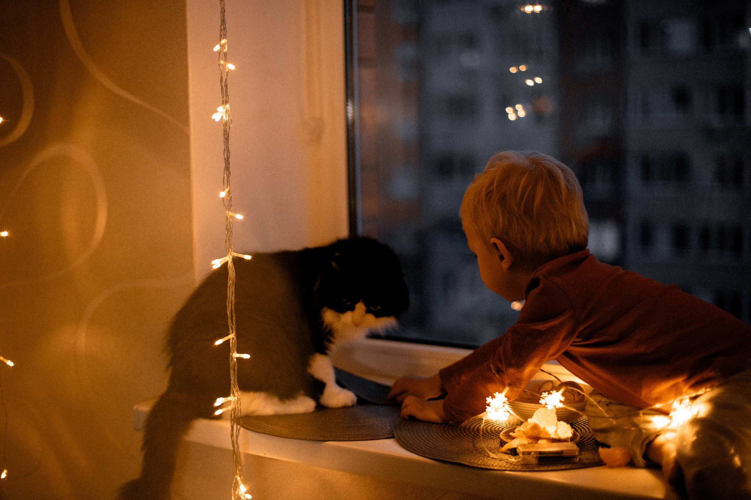 Домашние истории. Фотограф в Краснодаре и Краснодарском Крае