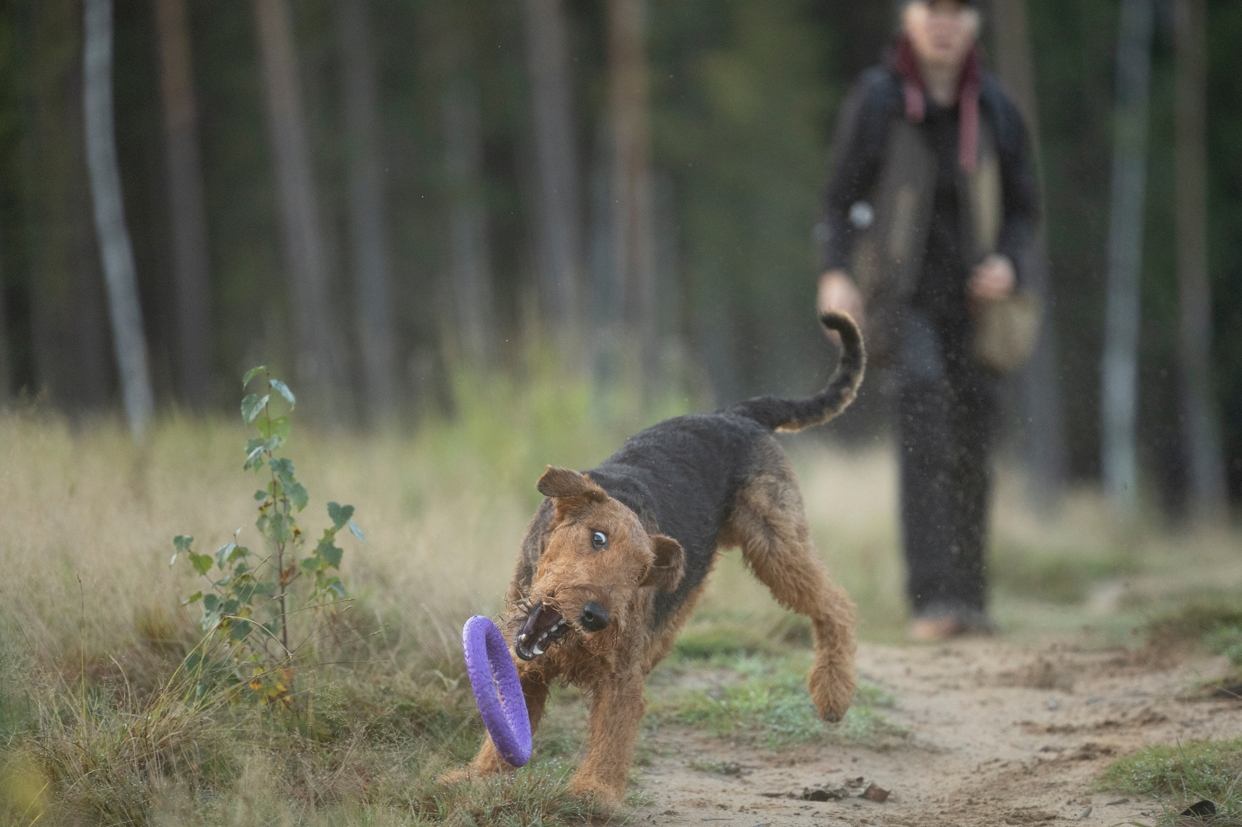 Харди. Фотограф-анималист Анна Маринич