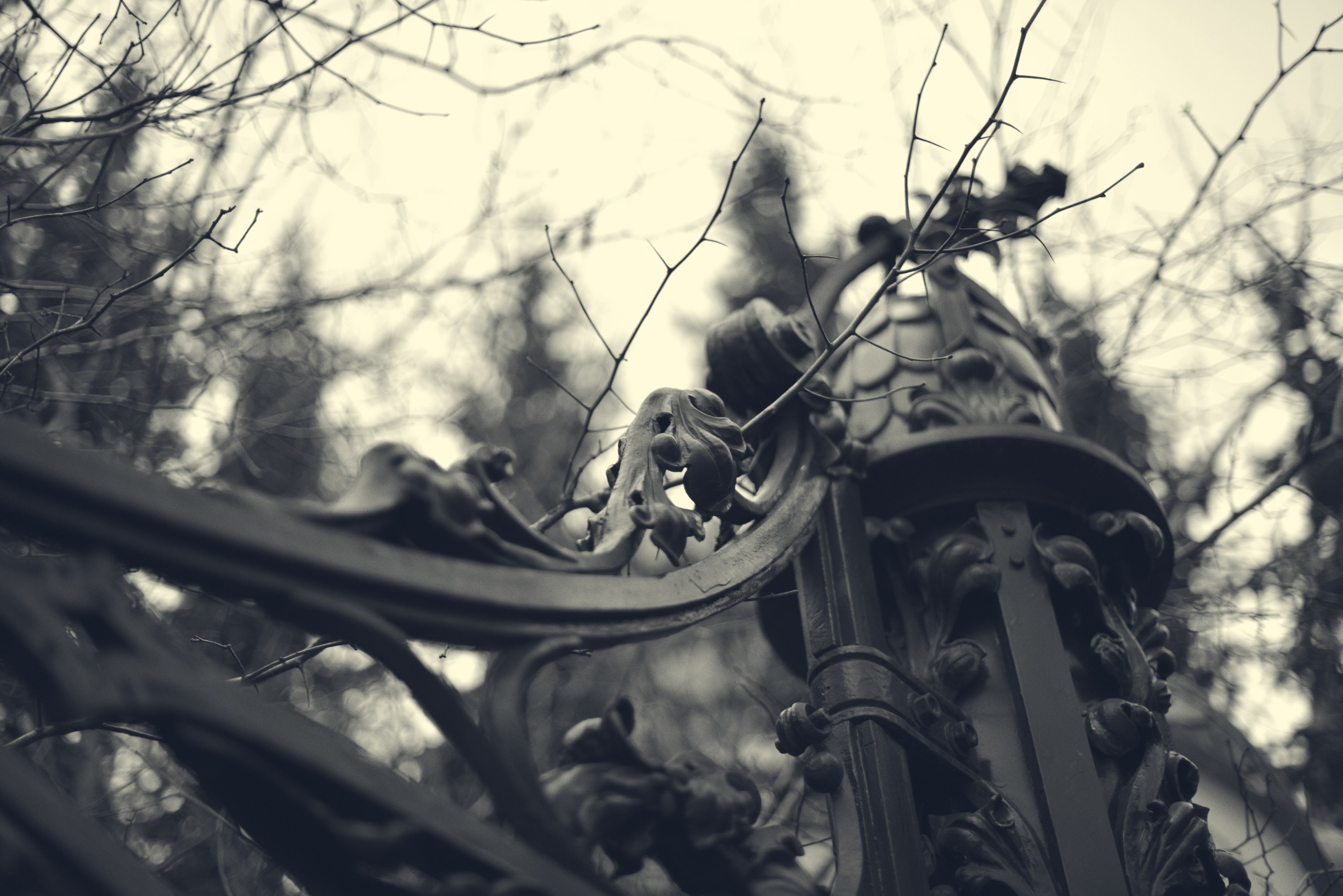 SAINT PETERSBURG. Personal website of photographer Dmitry Raikin