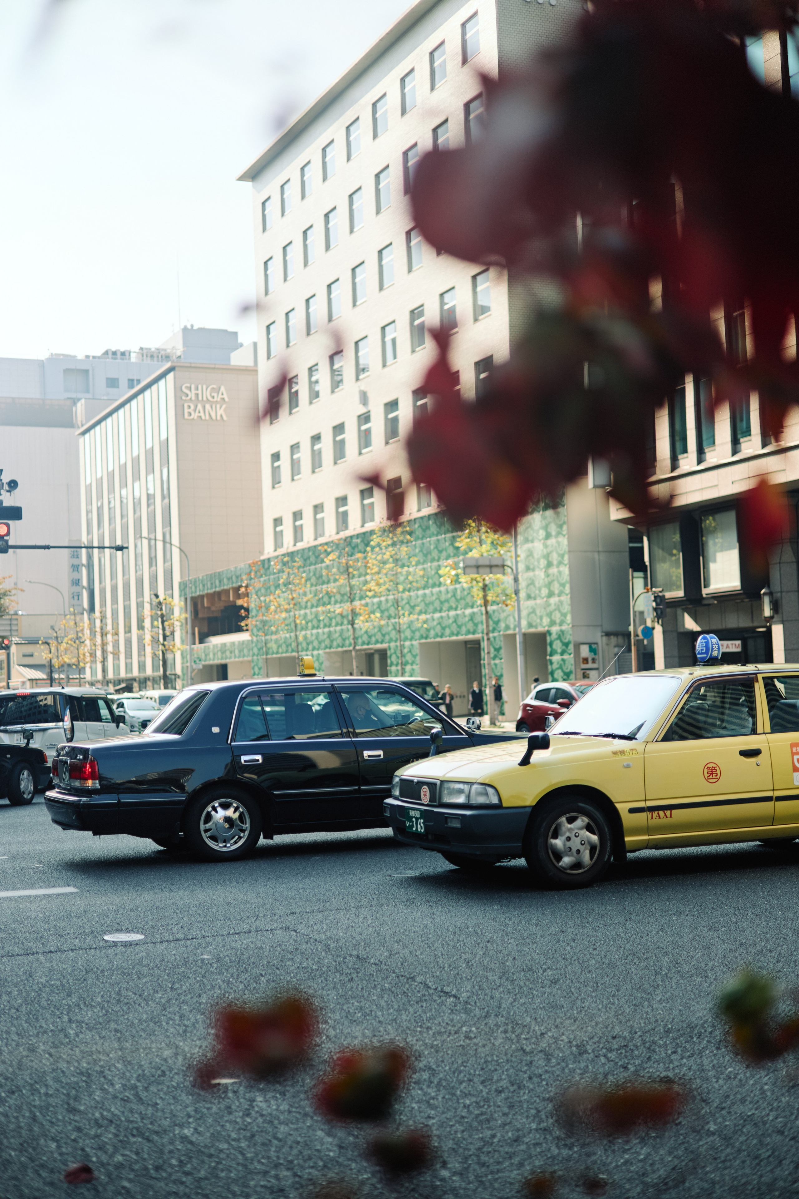Япония. Профессиональный Фотограф во Владимире, в Москве и в Суздале — Полина Романычева