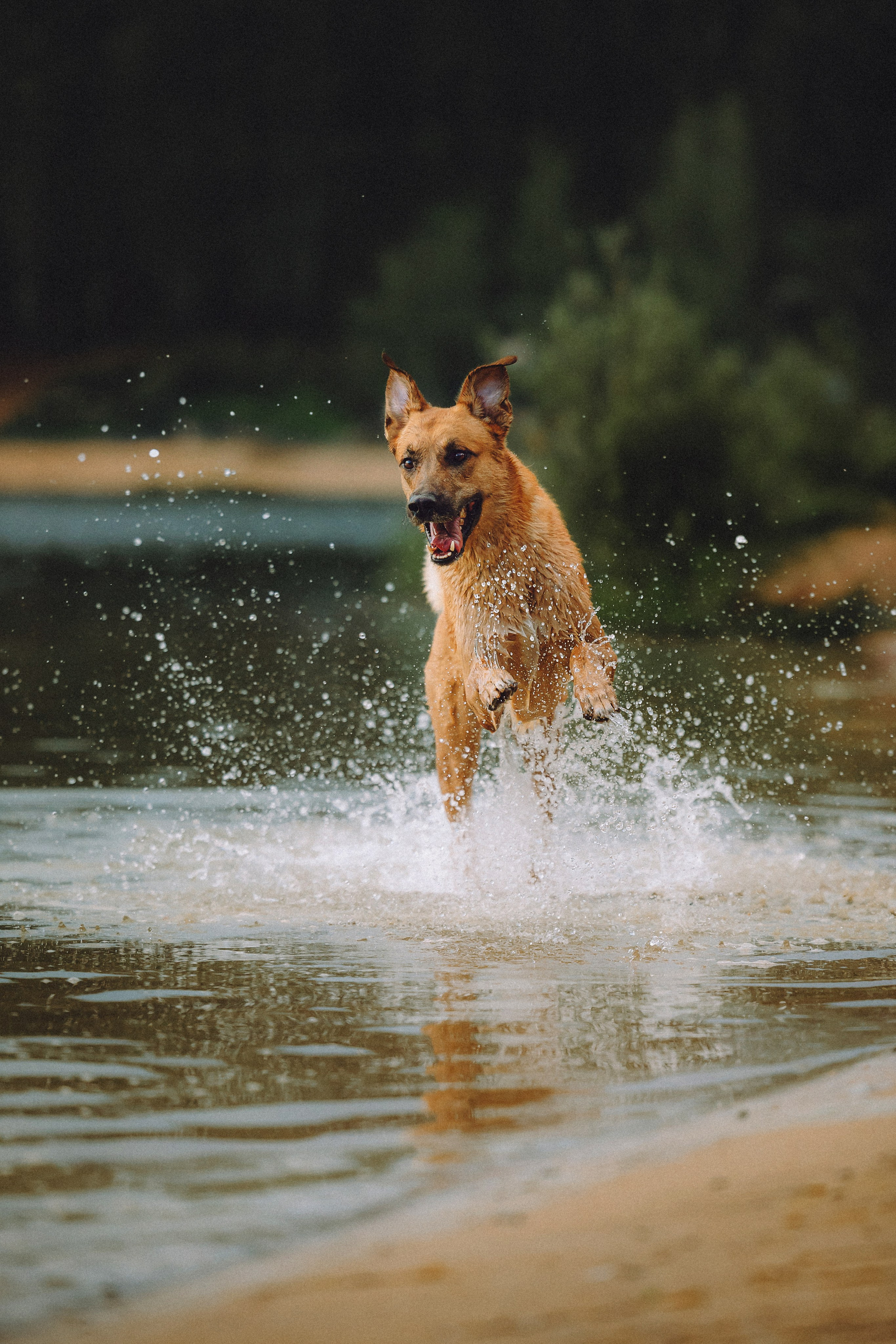 Роби, Тео и их семья