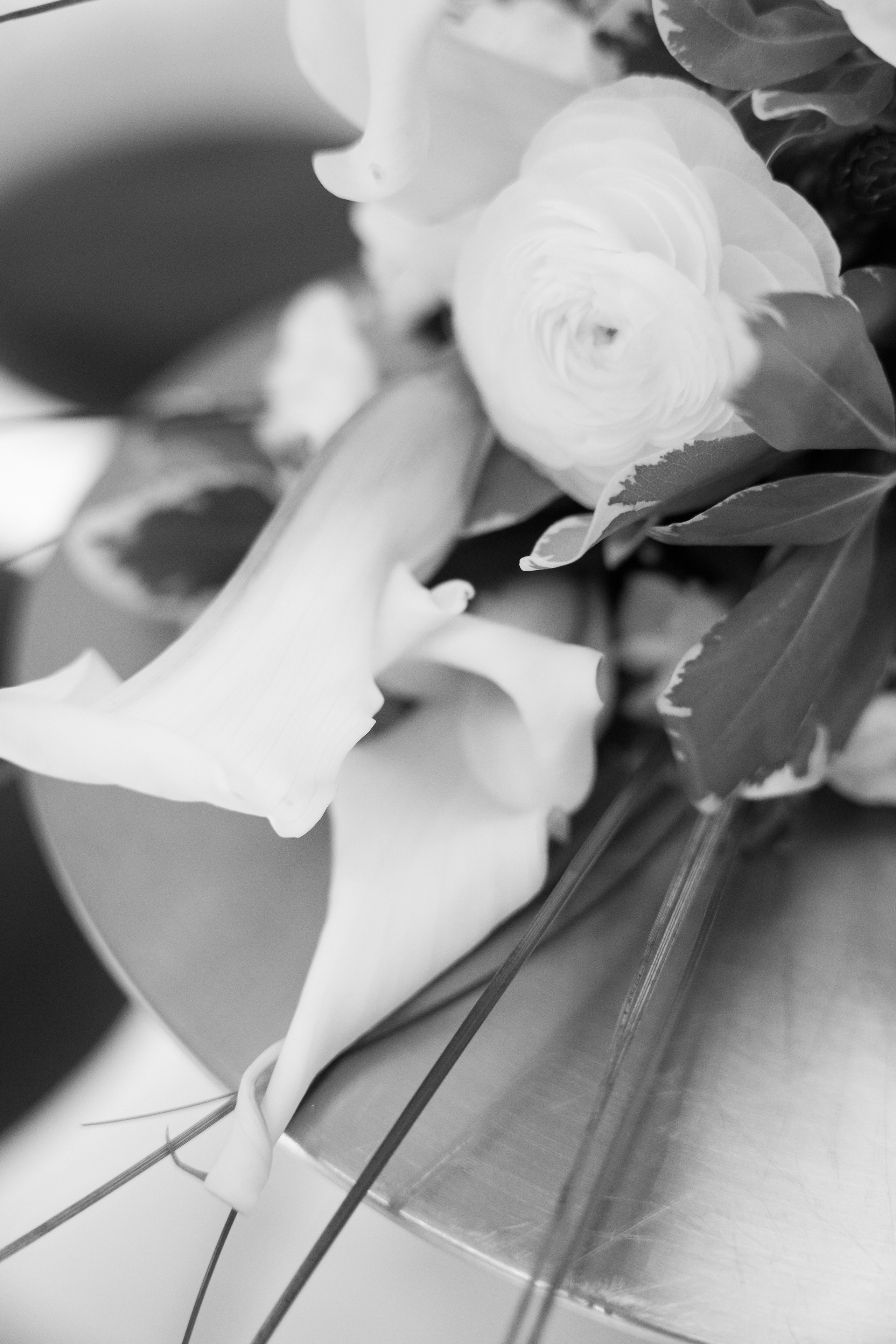 А&О Прогулка + ЗАГС. Свадебный, репортажный, семейный фотограф Елена Брюхова