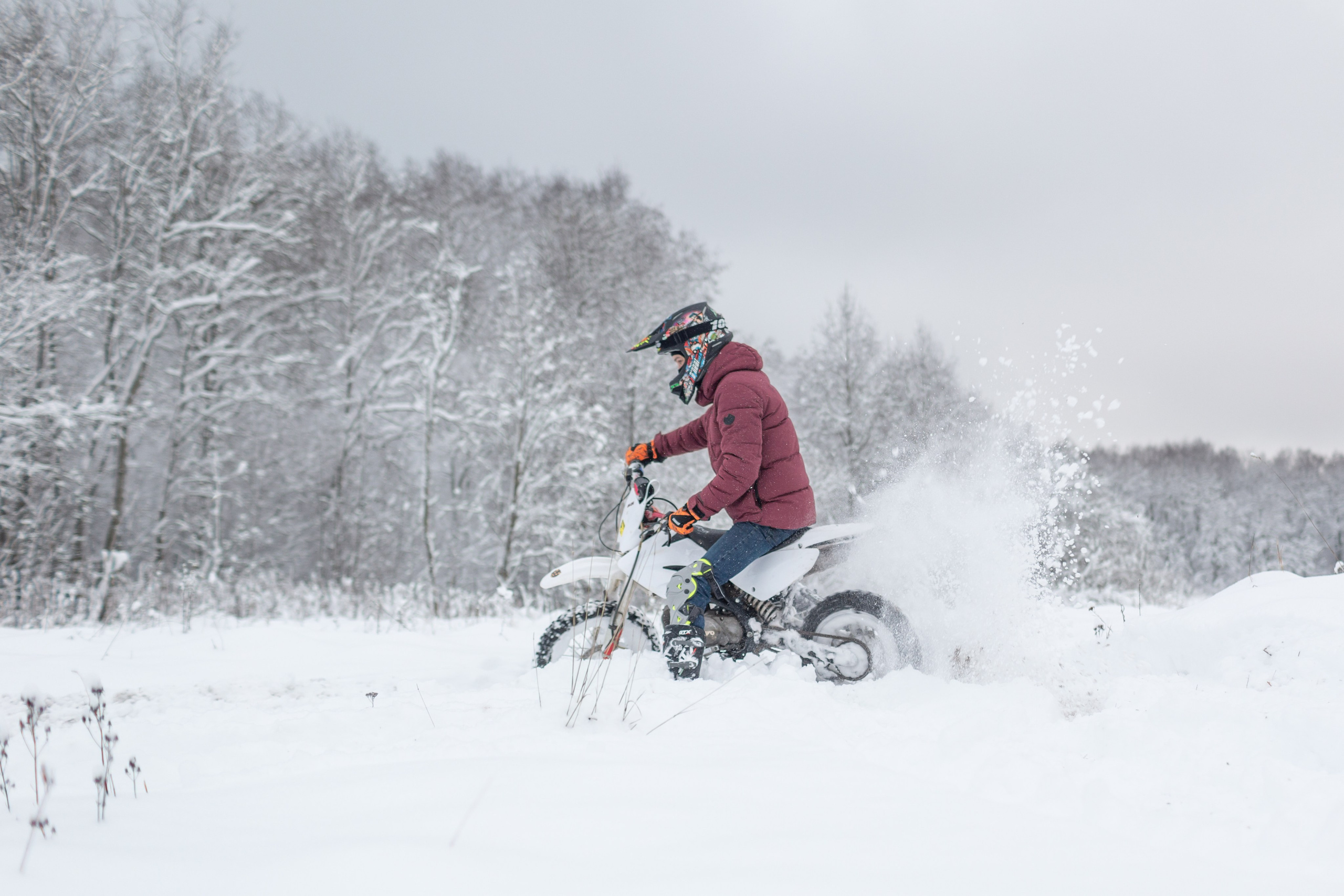 Виктор. Гатчина. Семейный фотограф в Санкт-Петербурге
