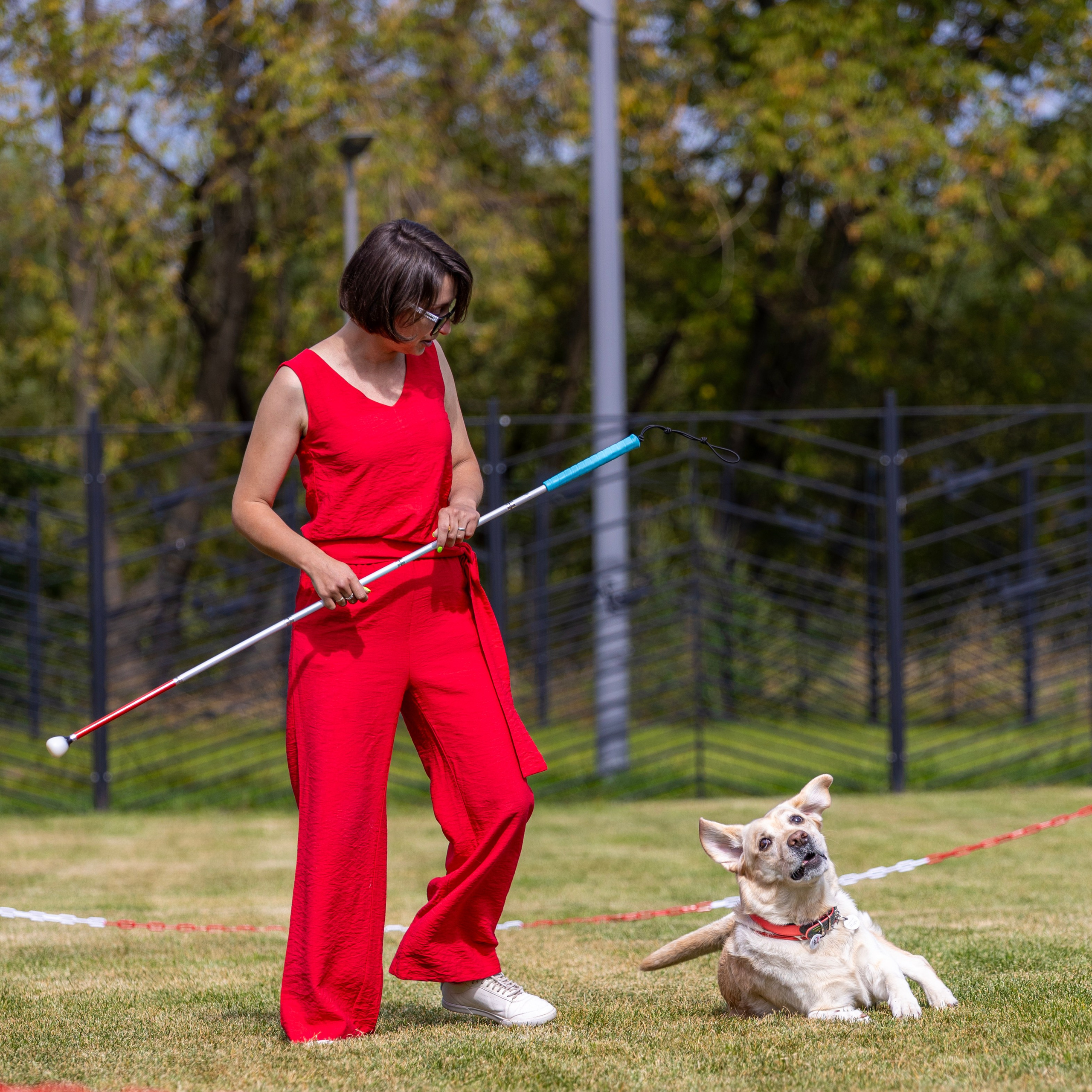 Съемка мероприятия: конкурс по танцам с собаками. Фотография. Юрий Савин