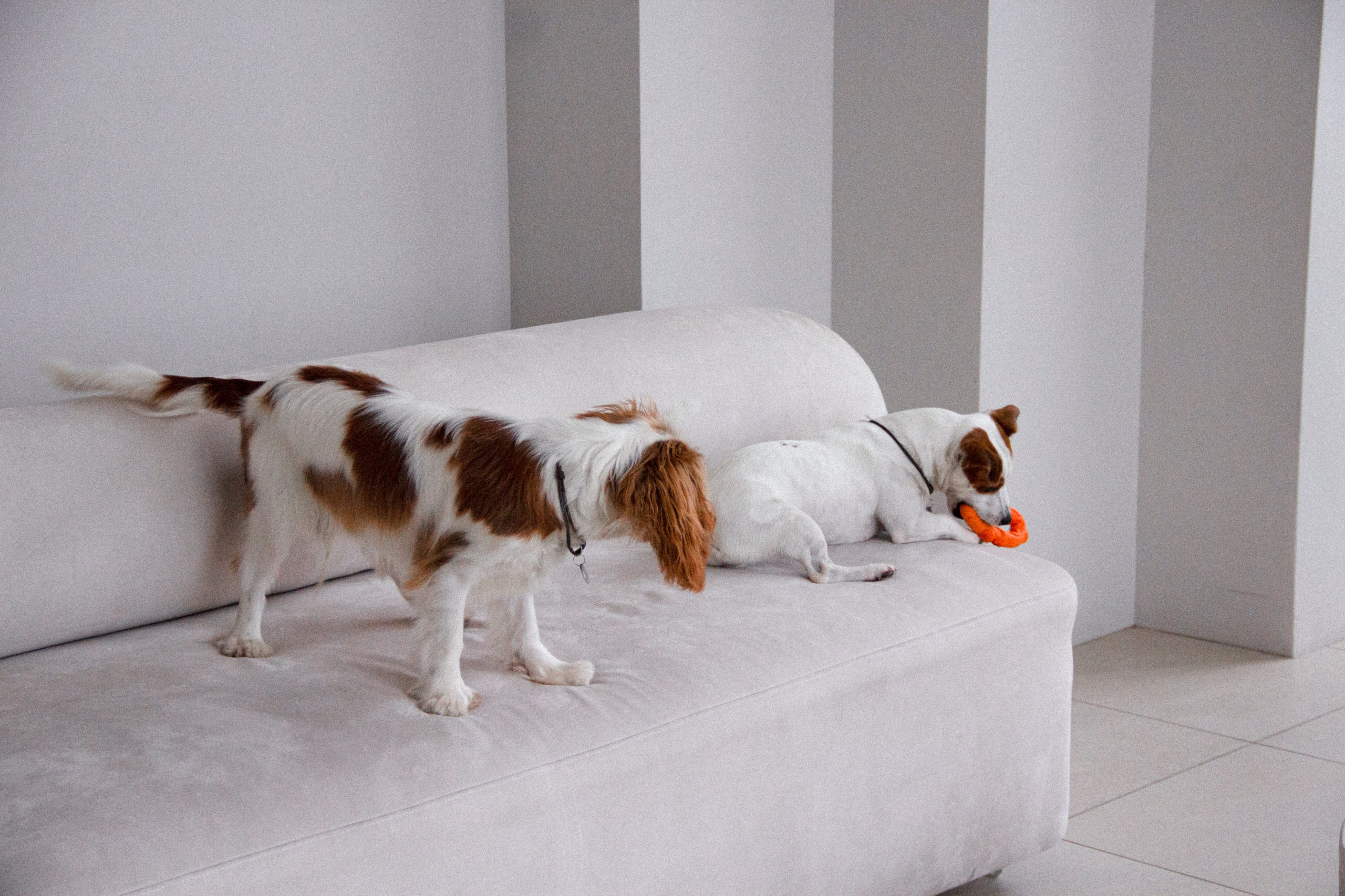 Валерия и Алексей. Фотограф в Санкт-Петербурге Смирнова Диана