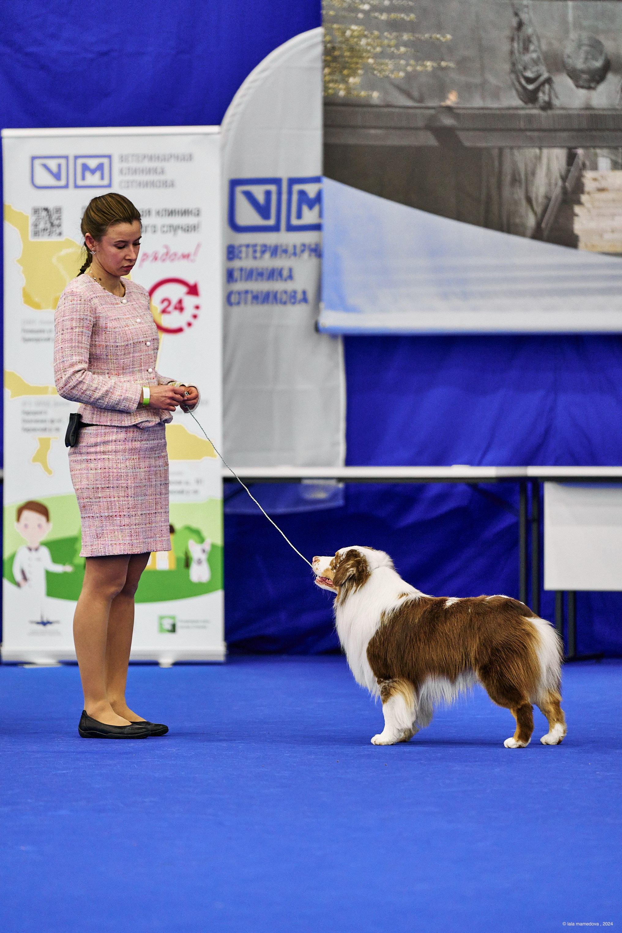 РЕЙТИНГОВАЯ ВЫСТАВКА СОБАК ВСЕХ ПОРОД С ОСОБЫМ СТАТУСОМ"НЕВСКИЙ ПОБЕДИТЕЛЬ-2024-1"