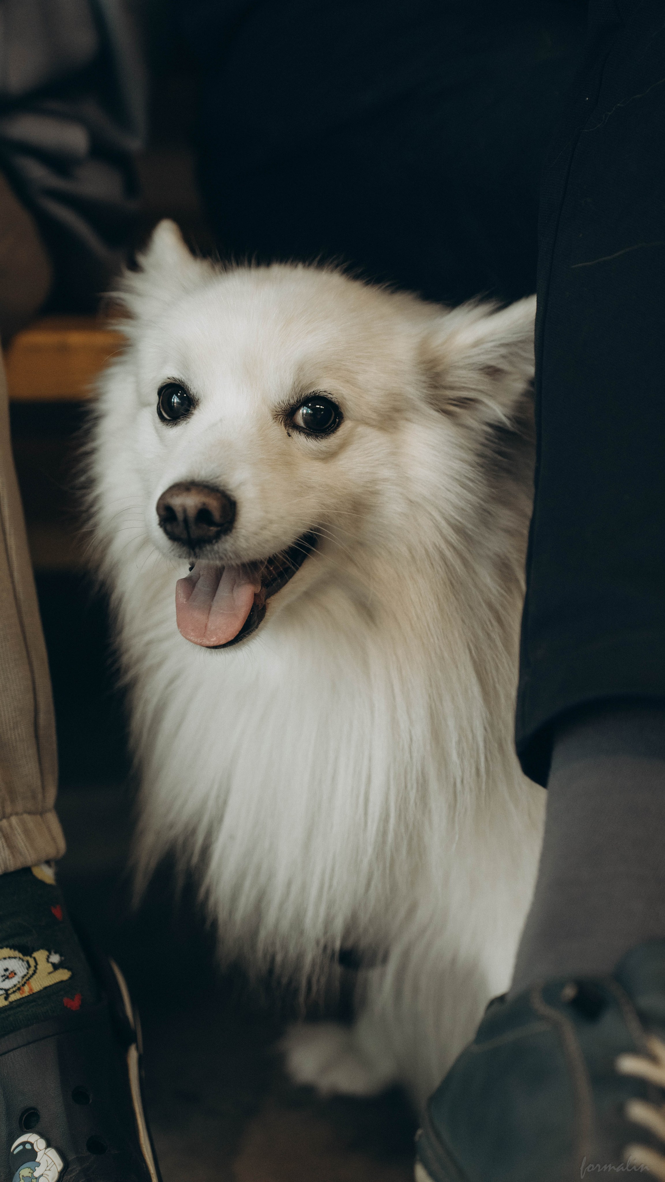 Фестиваль поисковых отрядов РТ 2025. Алиса Никитцова | Фотограф в Казани