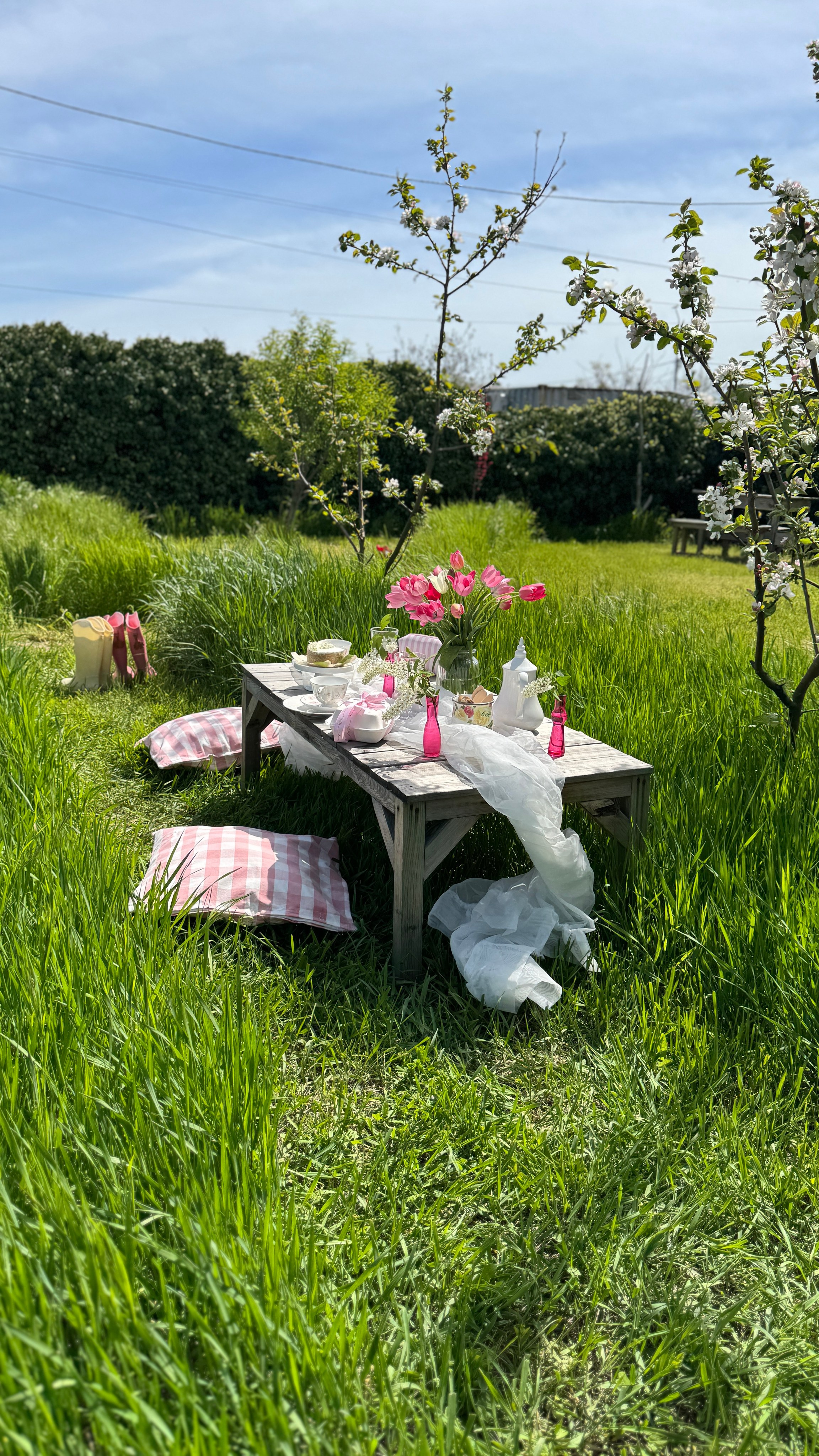 Девичники. Фотостудия Натальи Забродской