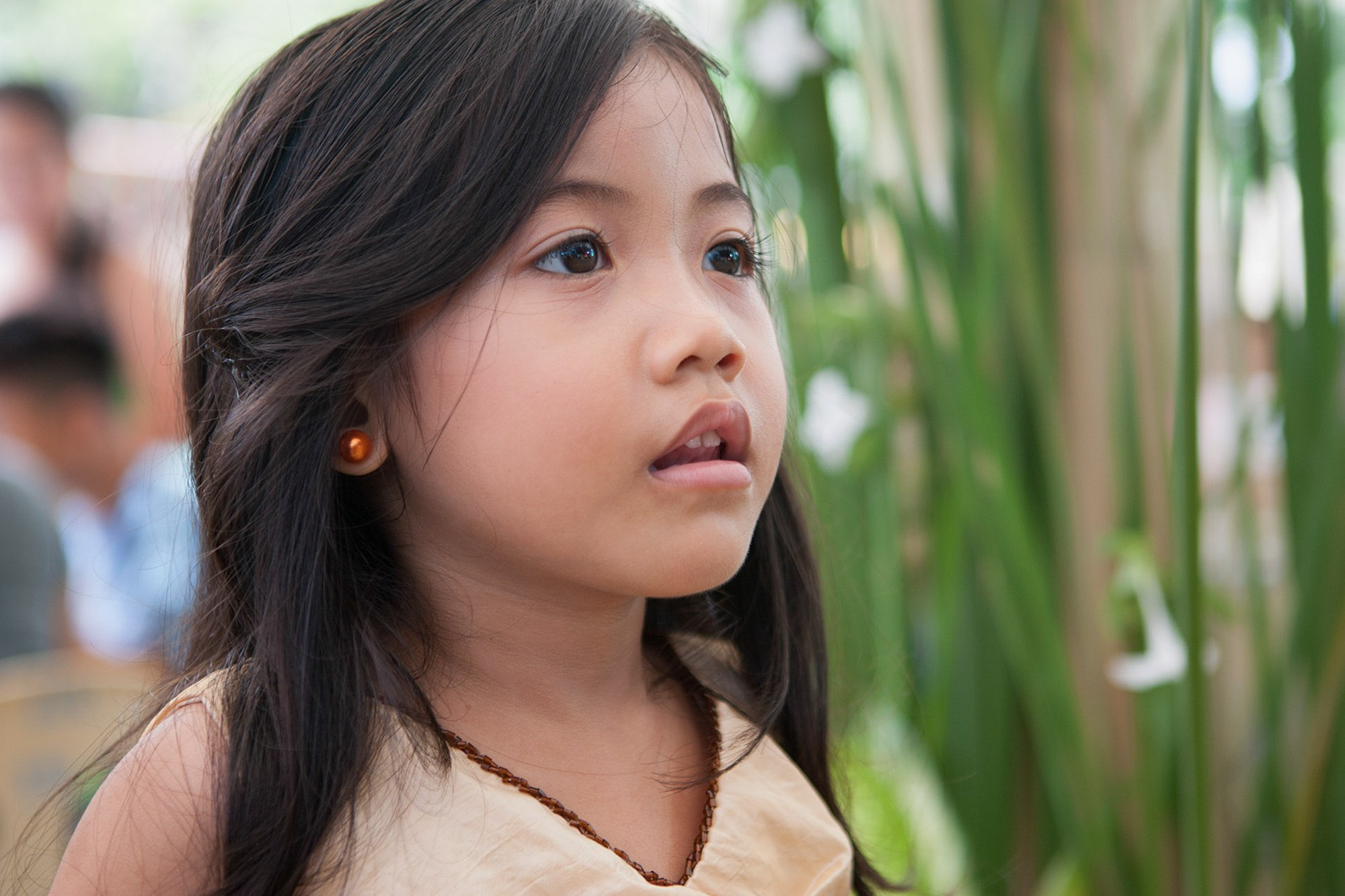 Фото и видео съемка мероприятия. Фото и видеосъемка