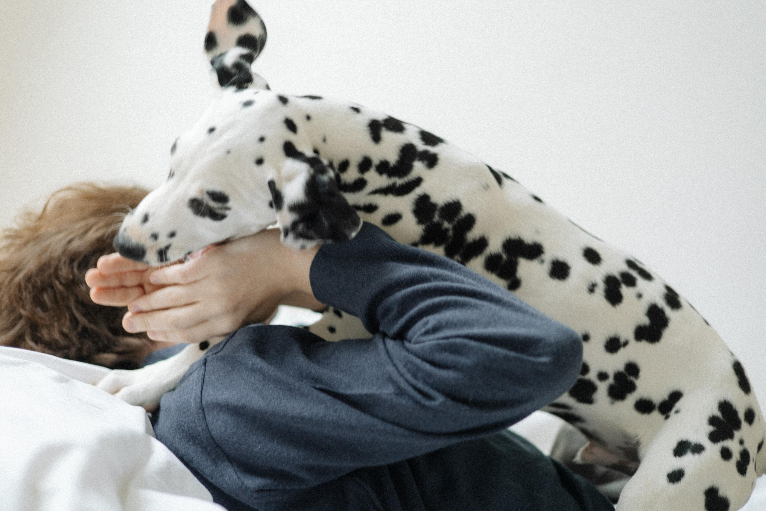 Матвей и Бронти. Фотограф в Москве и области Титова Наталья