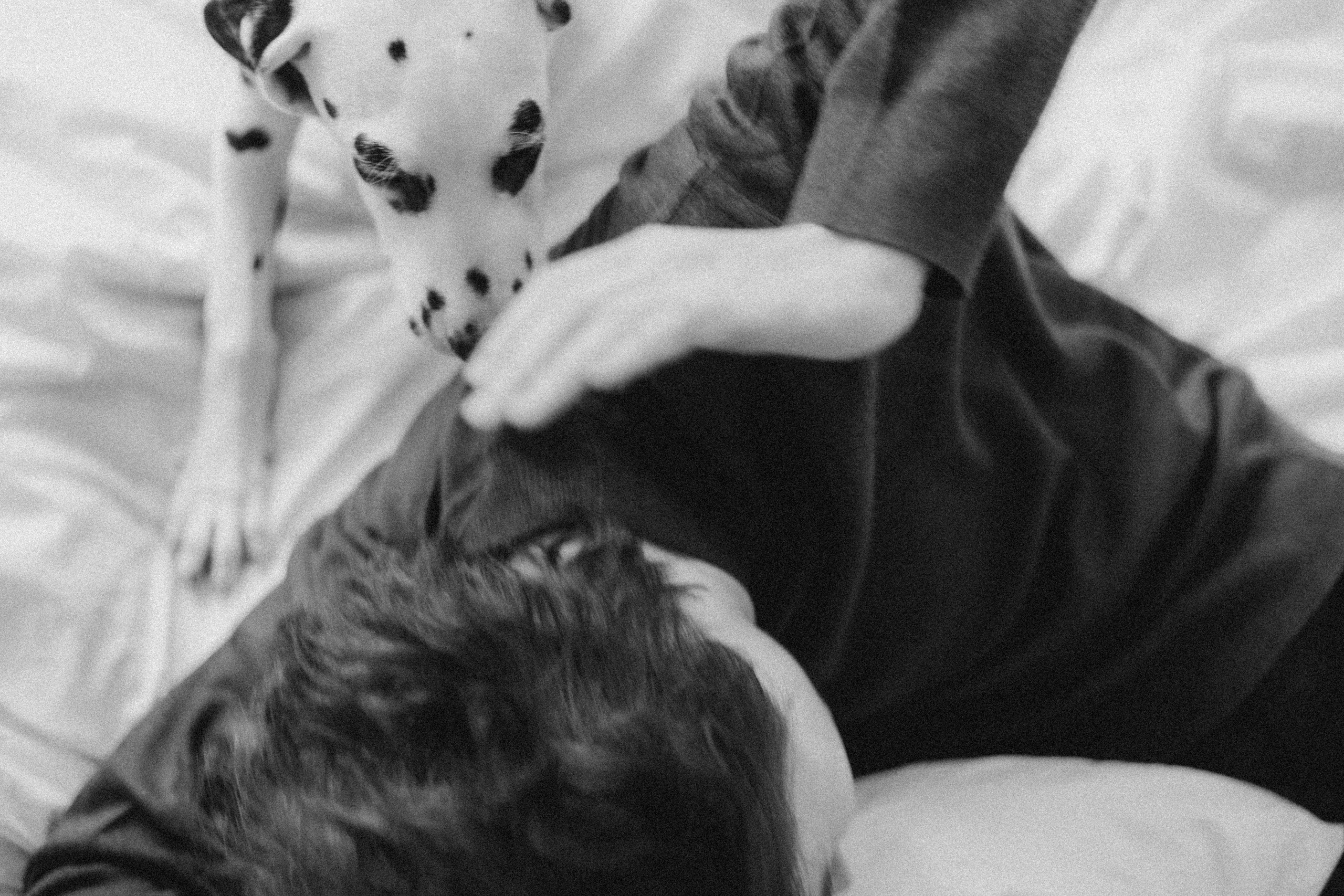 Матвей и Бронти. Фотограф в Москве и области Титова Наталья