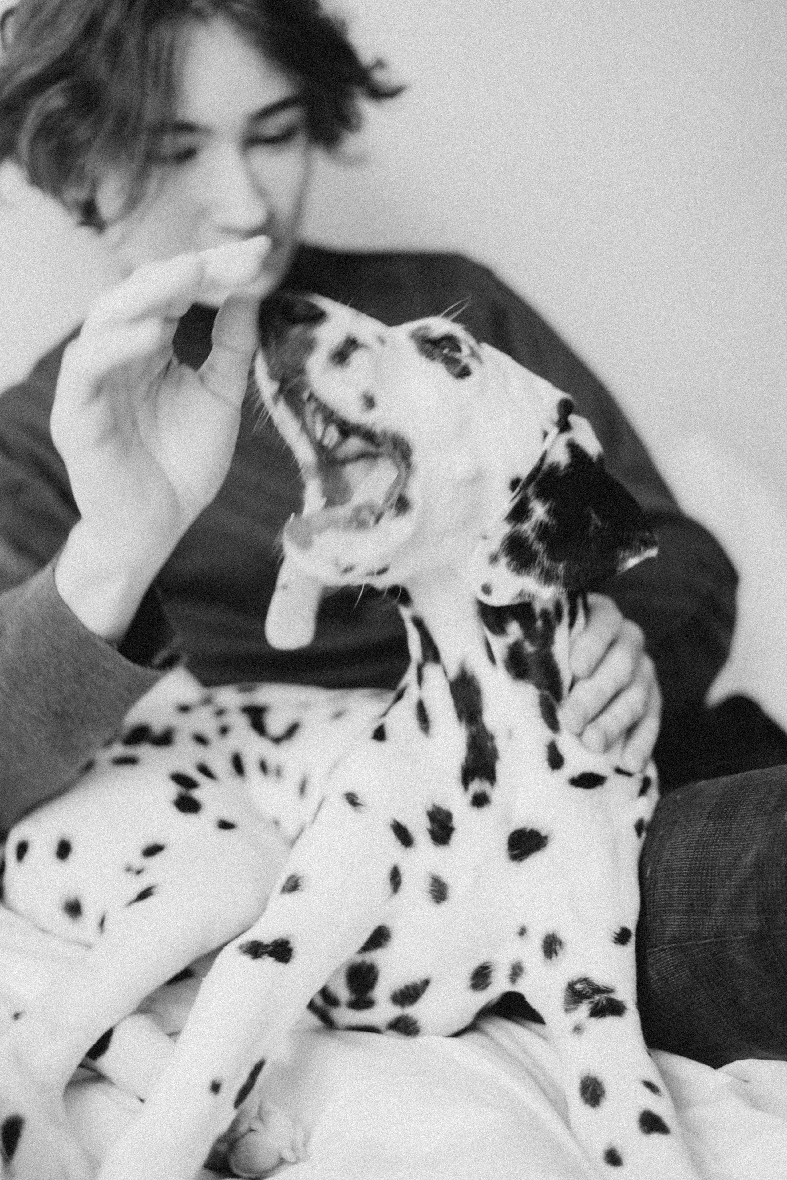 Матвей и Бронти. Фотограф в Москве и области Титова Наталья