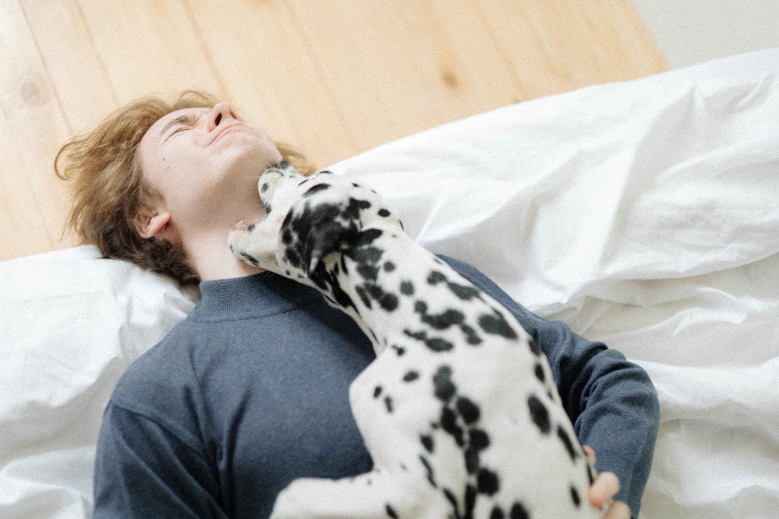 Матвей и Бронти. Фотограф в Москве и области Титова Наталья