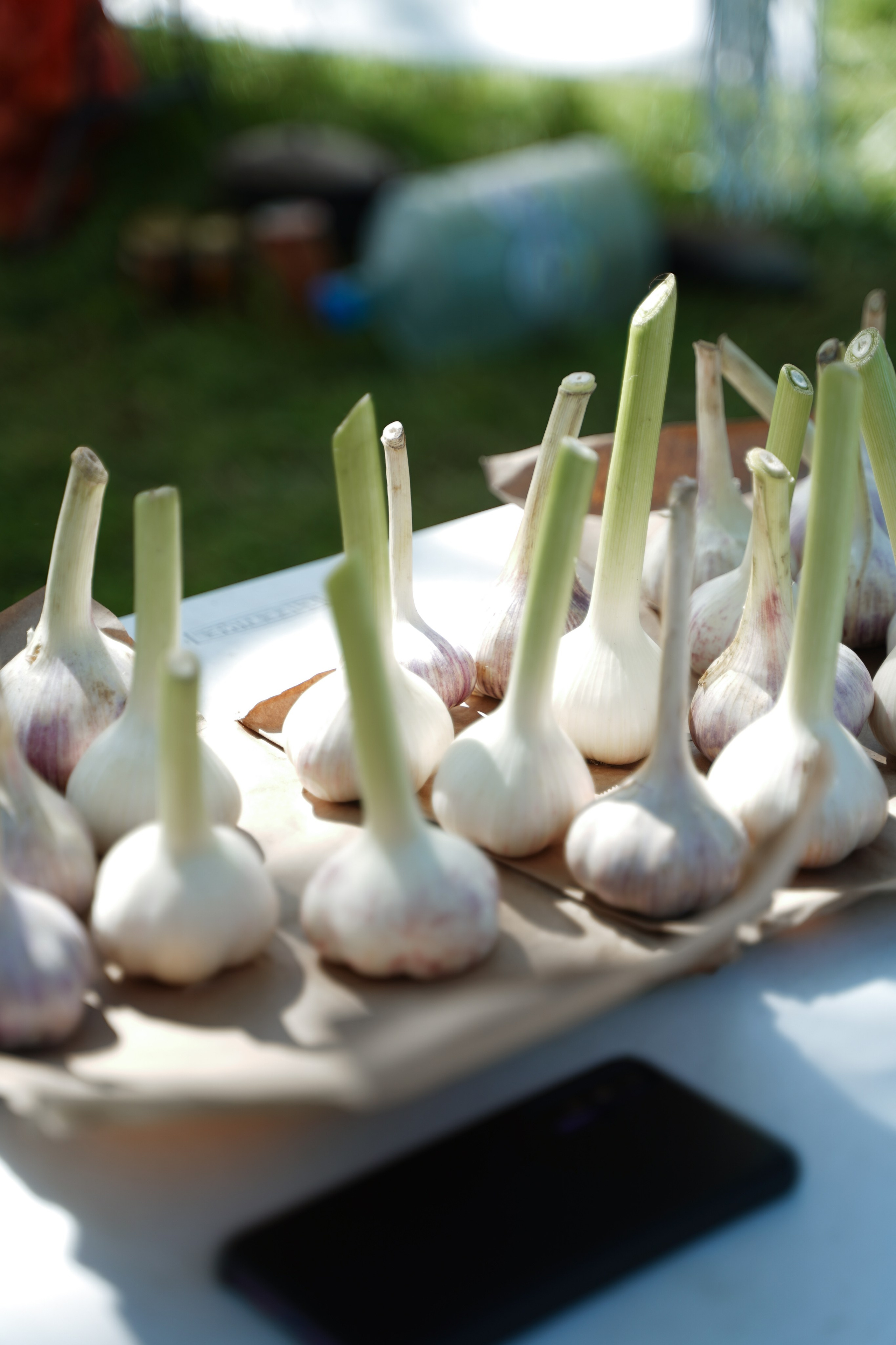 Палаточный форум для взрослых CAMPot 2024. Фотограф Надежда Погребняк | Рязань | Москва