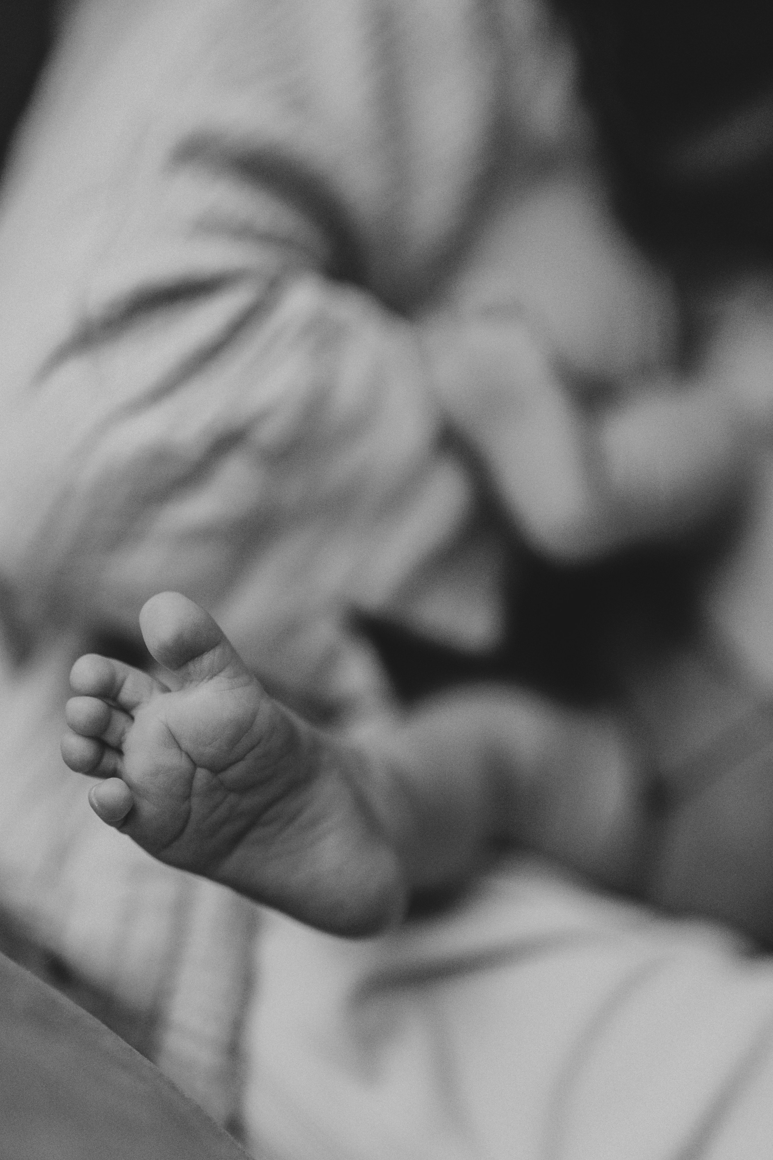 Вероника, Дмитрий и Мелисса. Семейный фотограф Земскова Евгения