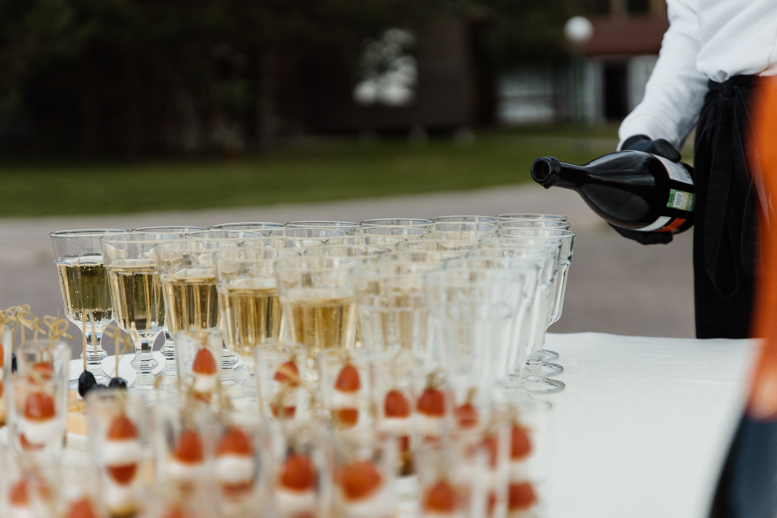 Свадебная вечеринка. Свадебный  фотограф Новосибирск