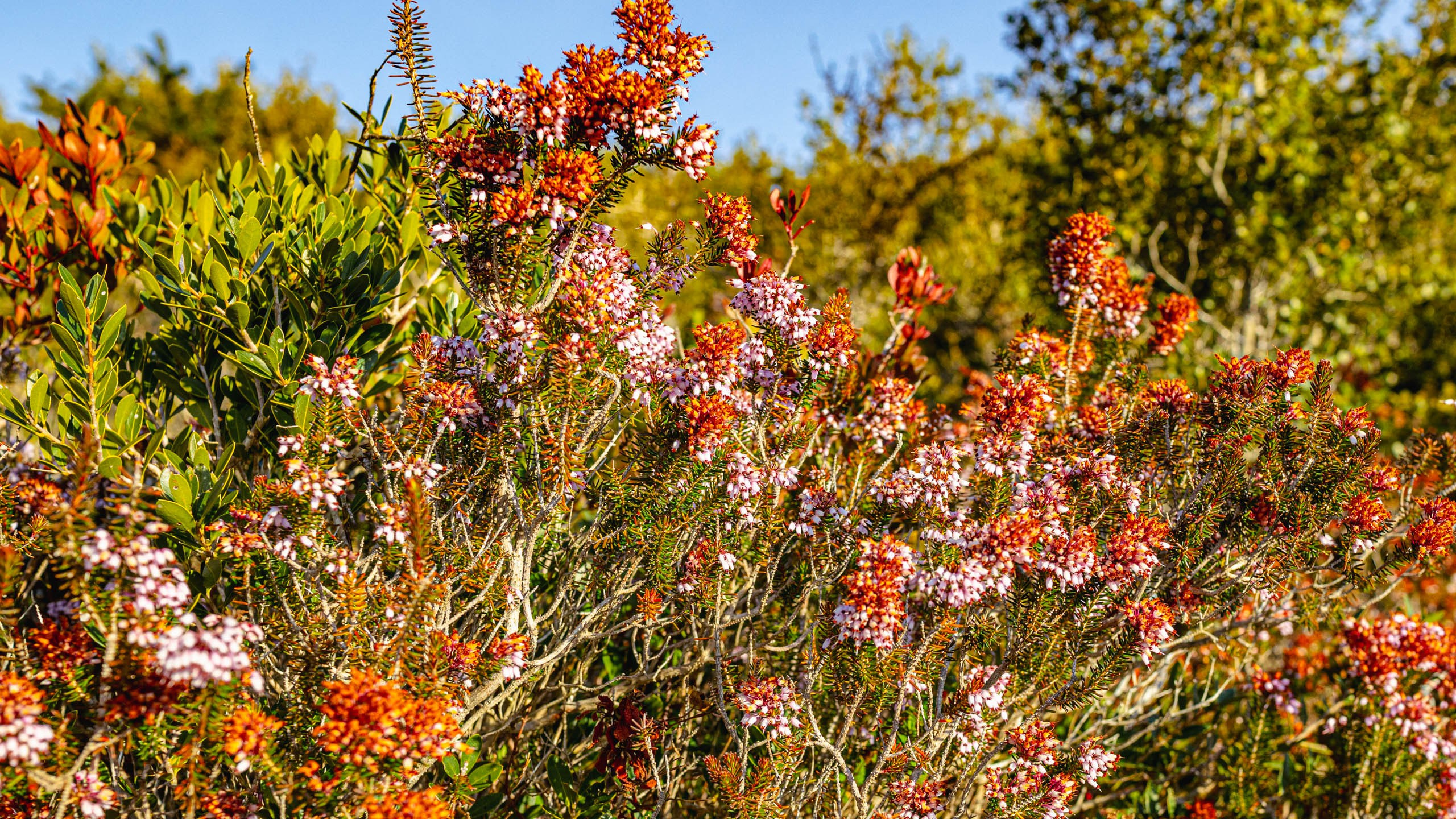 2022 02 Греция (Метеоры, Янина, Лефкада, Коринф, Спарта). Фотографии
