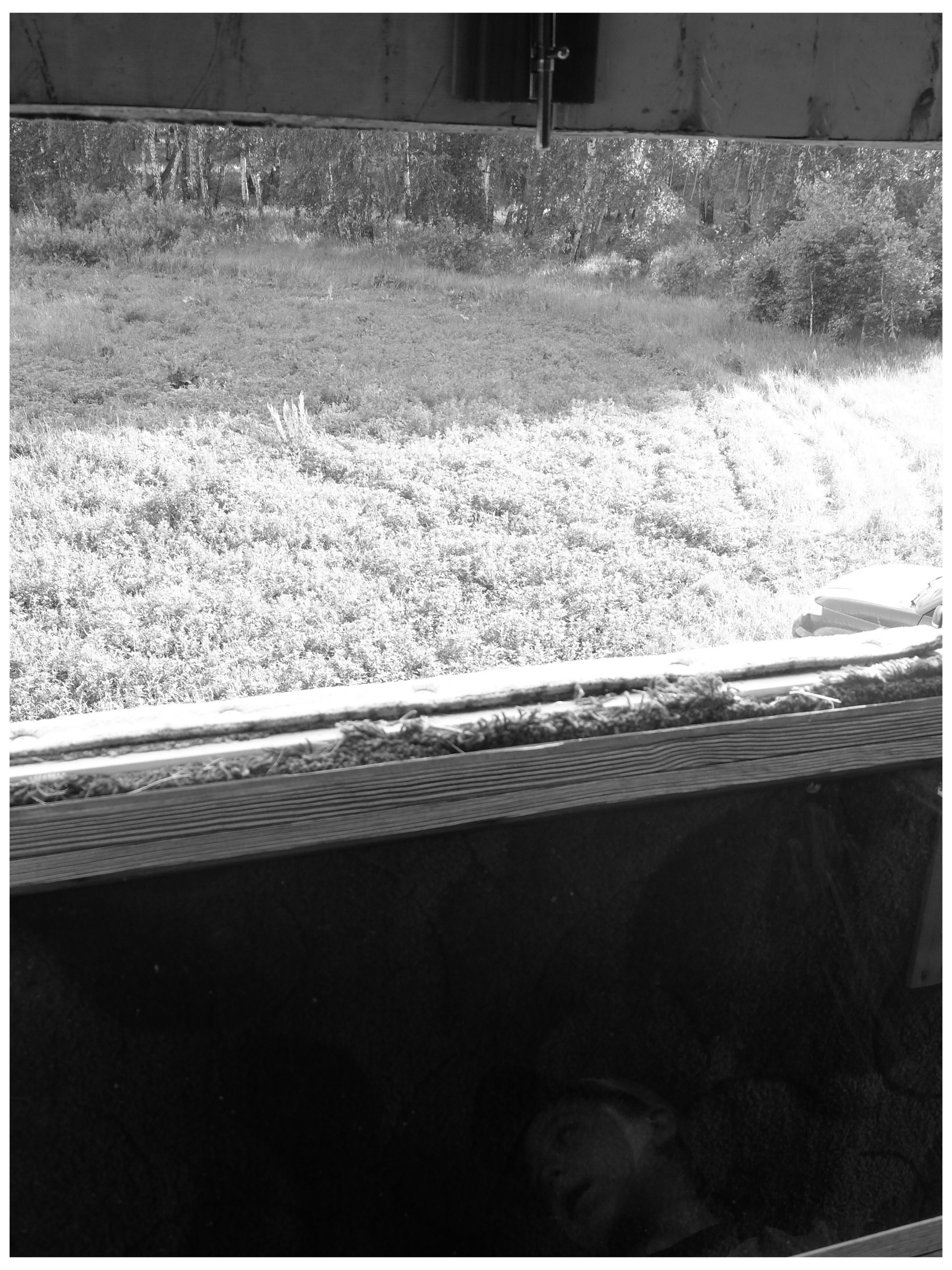 Промежуточные моменты (2022)