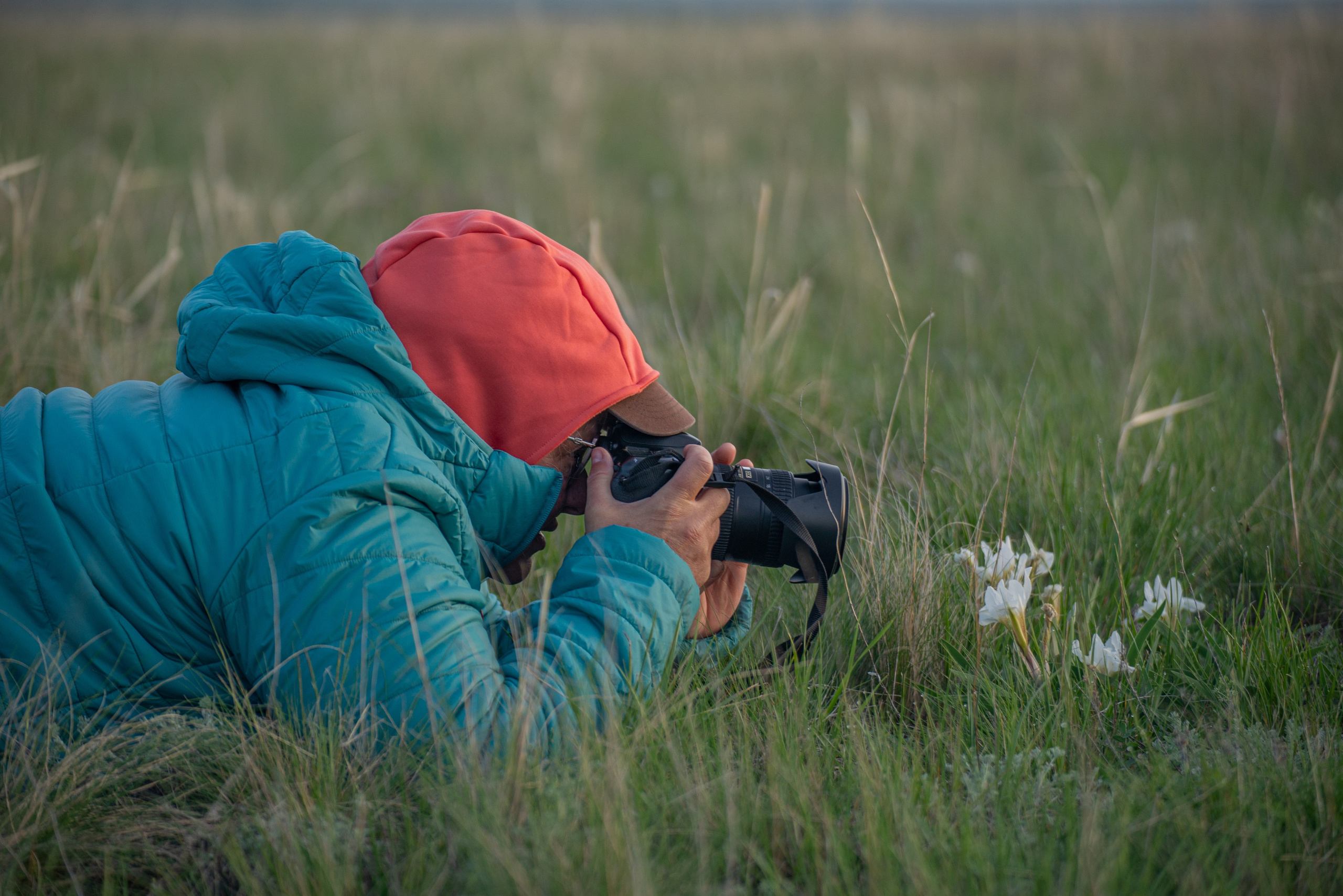 Заповедник «Оренбургский», предуральская степь. Фотообъединение Самарского областного отделения Союза журналистов России