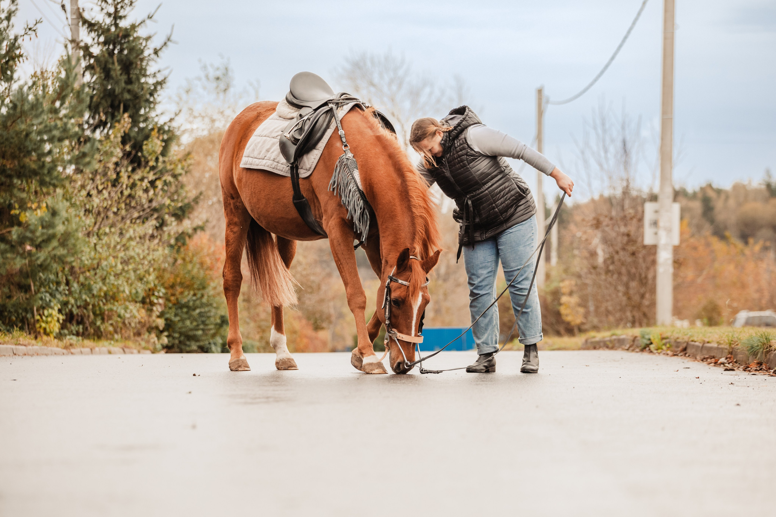 Лена и Рэджи. Фотограф-анималист Татьяна Степанова