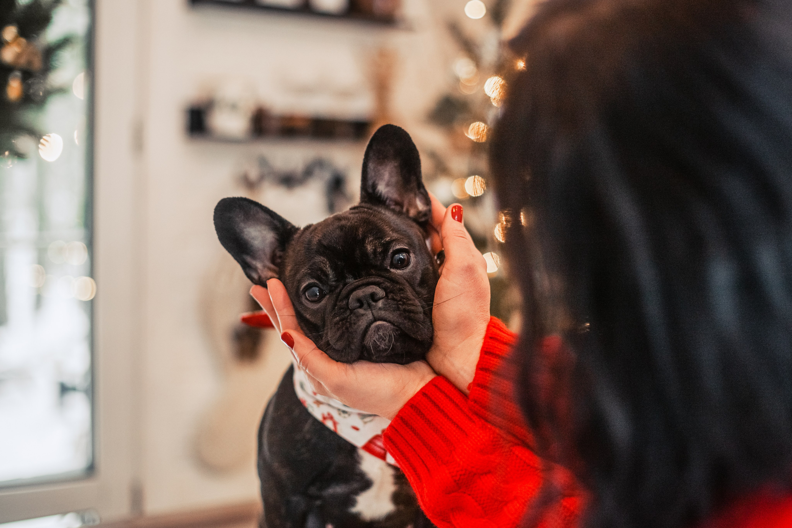 Кантри Хаус. Фотограф-анималист Татьяна Степанова