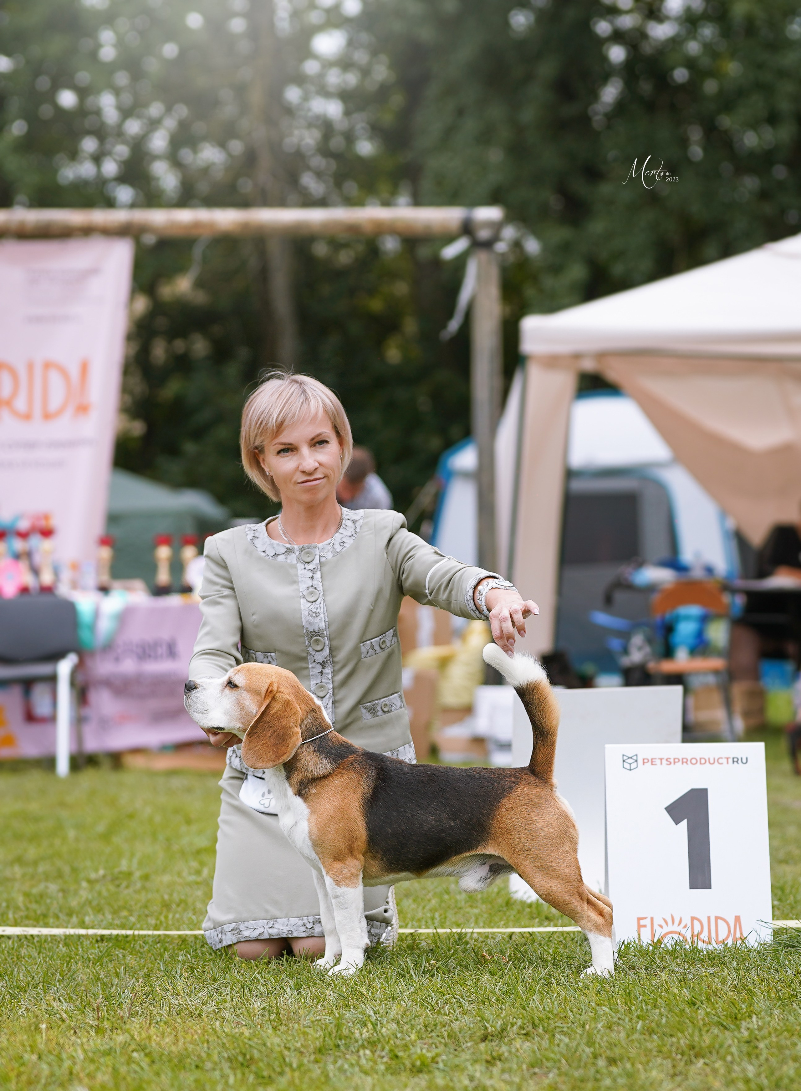 Выставки 2023. Фотограф-анималист в Санкт-Петербурге Яна Мартынова