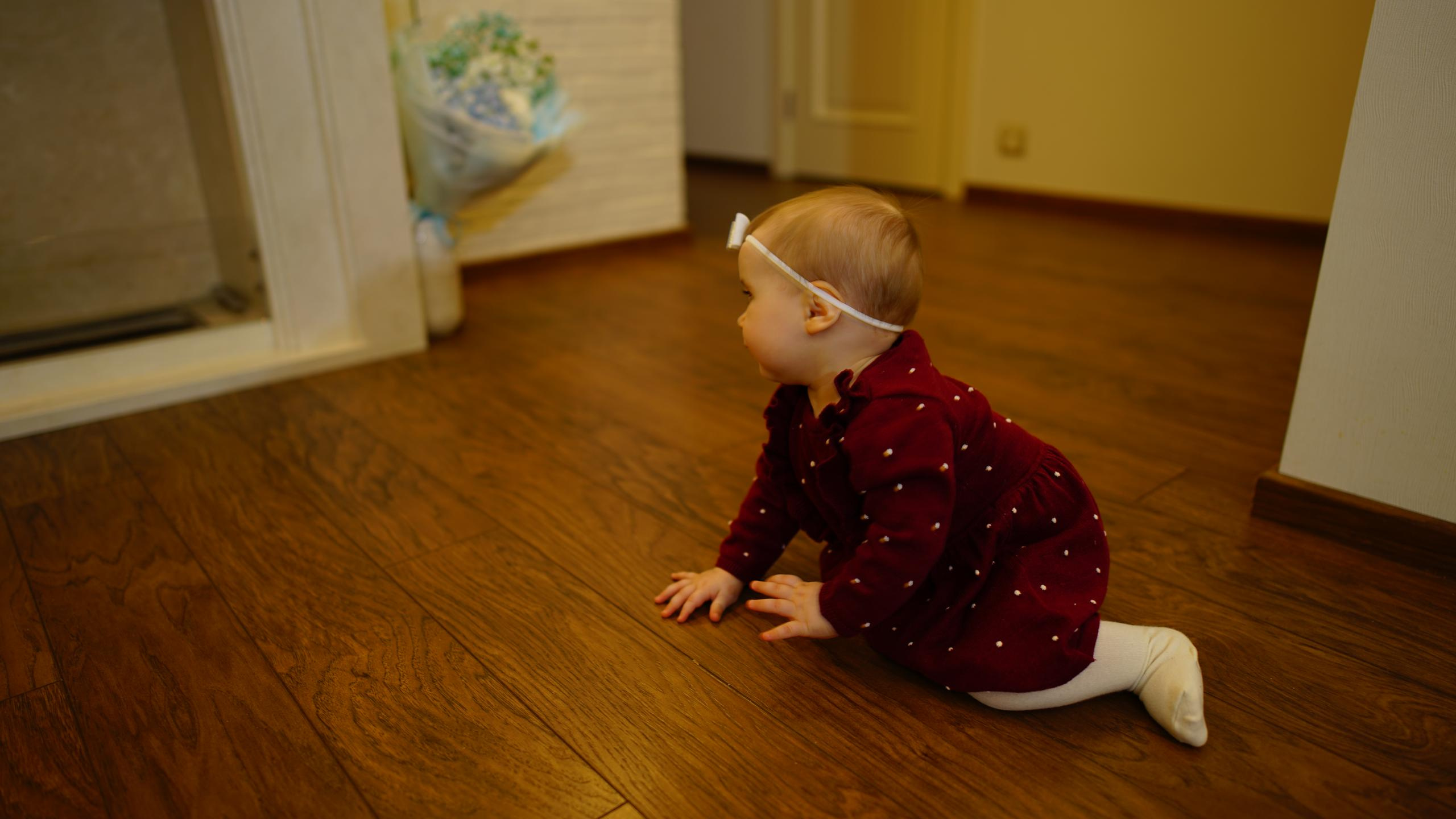 Фото до Года. Фотограф Михеев Андрей