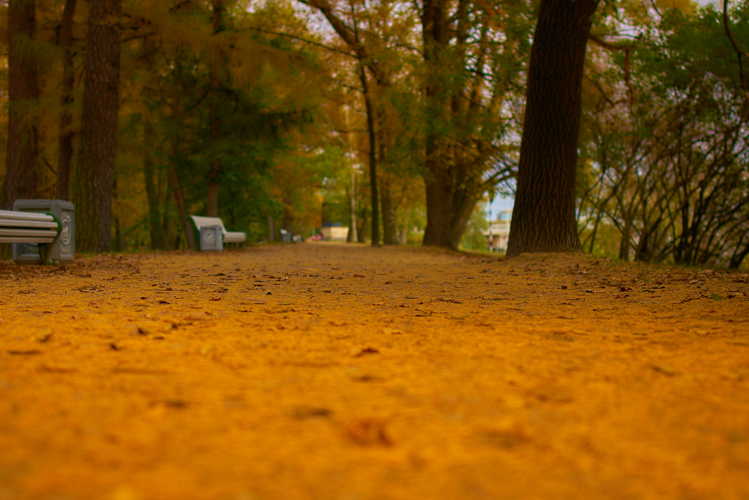 Мой город. Фотограф Михеев Андрей