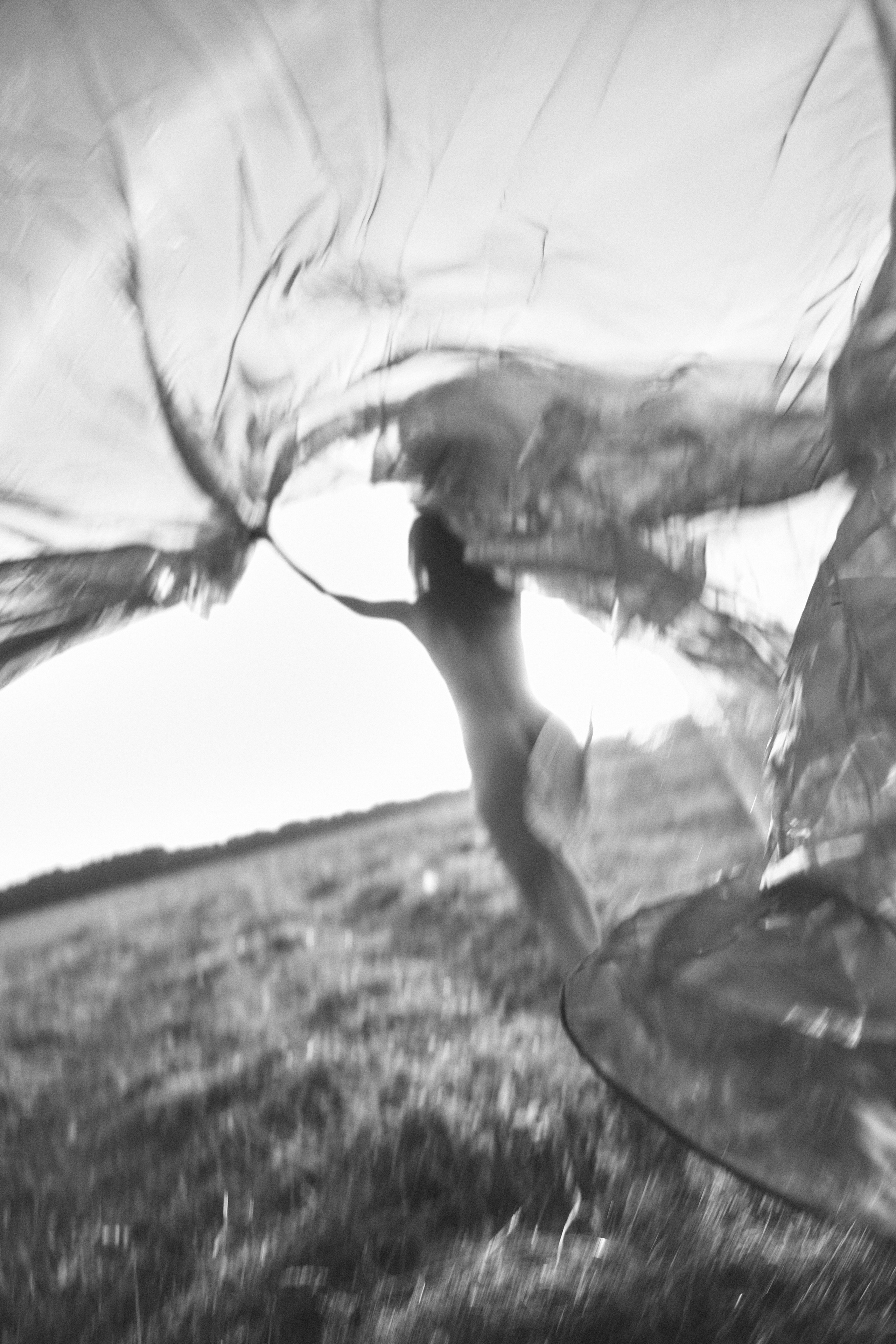 Eleonora in field. Главная