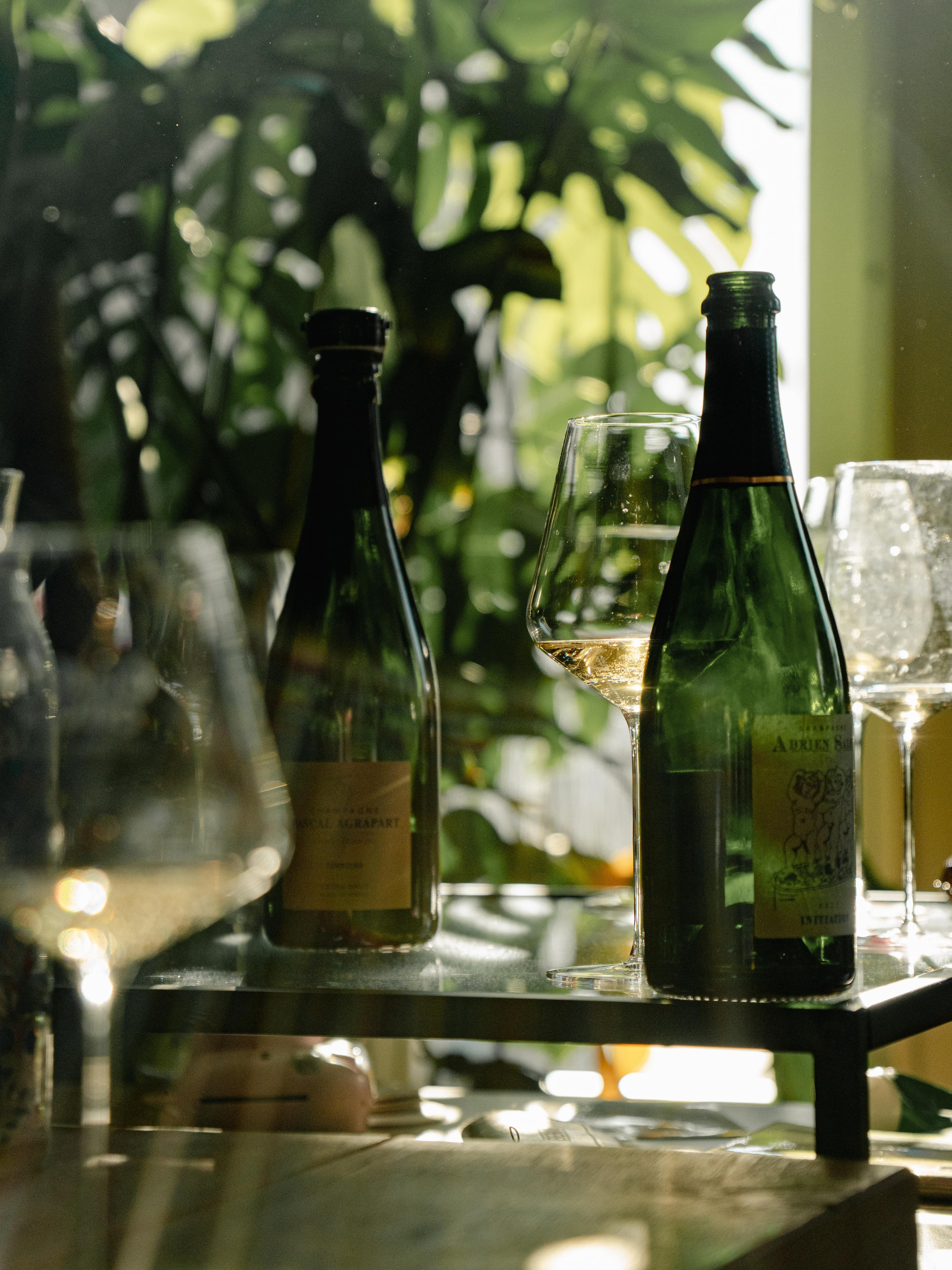 Champagne 2025. Фотограф в Крыму Алевтина Швец