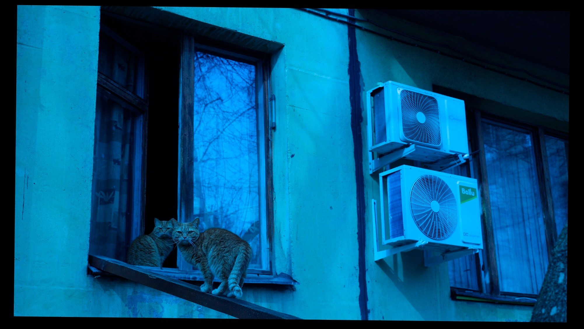 Subjects. PHOTOGRAHER KRISTINA VALIULINA