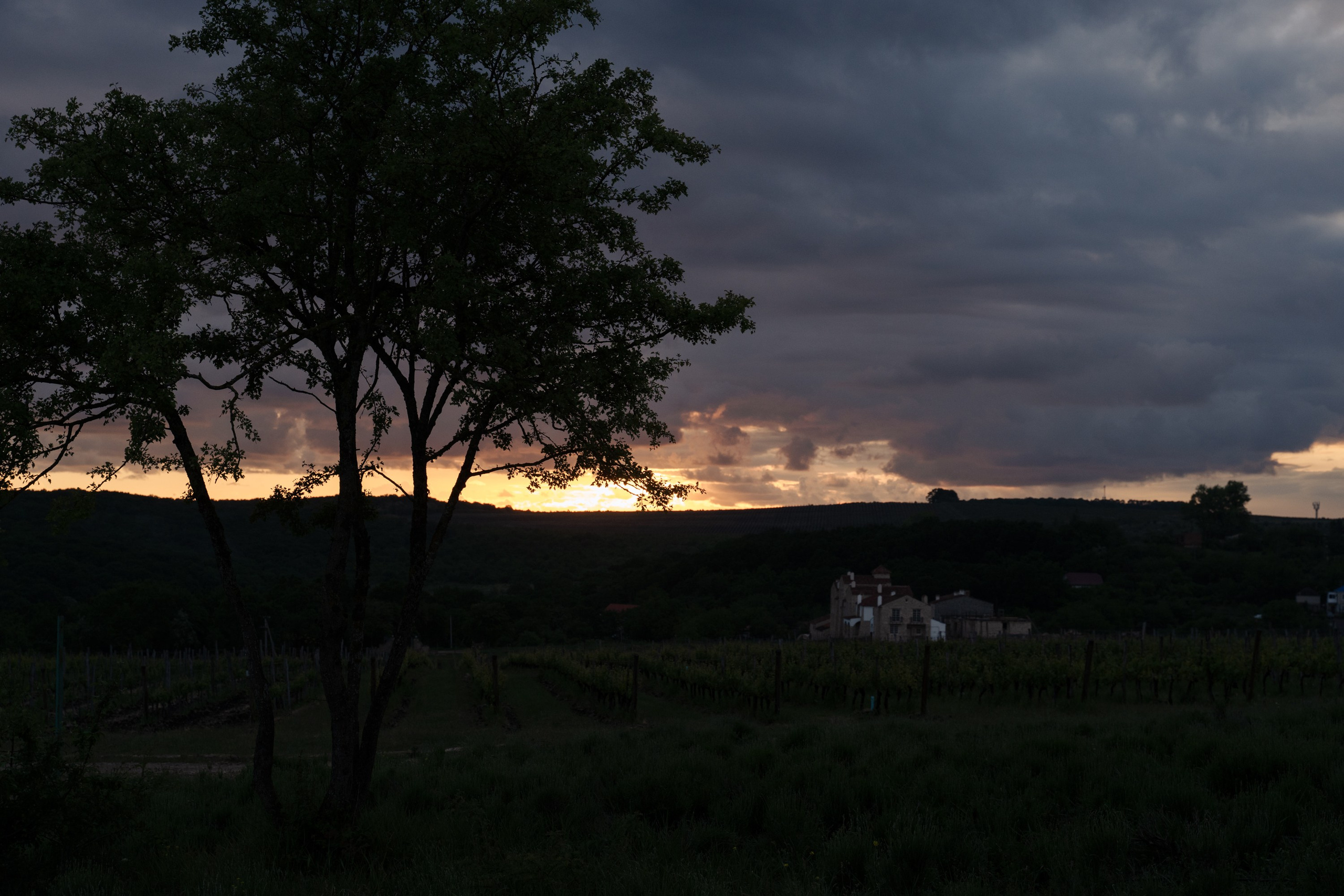 Anastasia&Yuri. Портретный фотограф в Краснодаре Валерия Матирная
