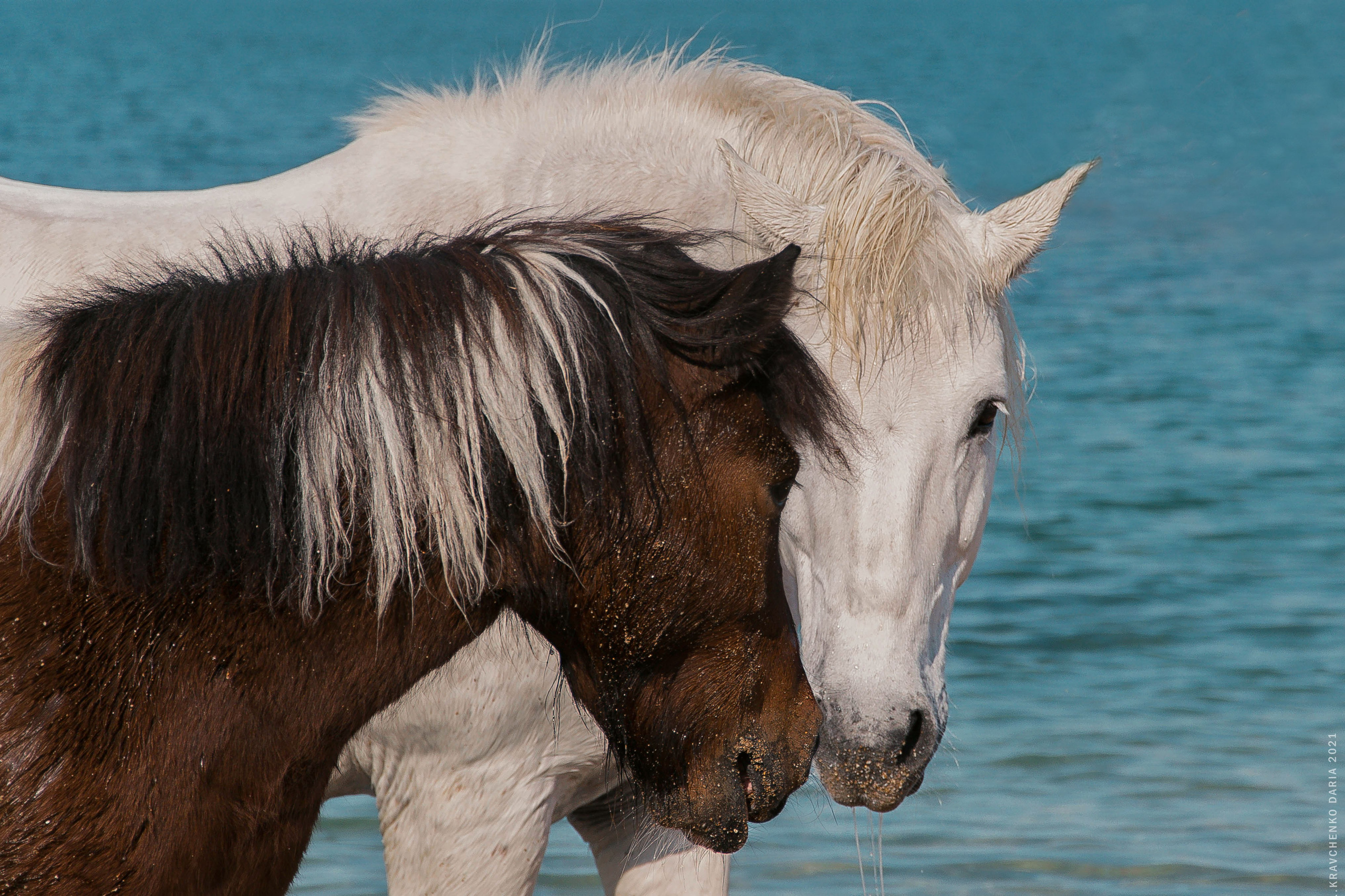 Миф и Фунтик. Фотограф в Севастополе