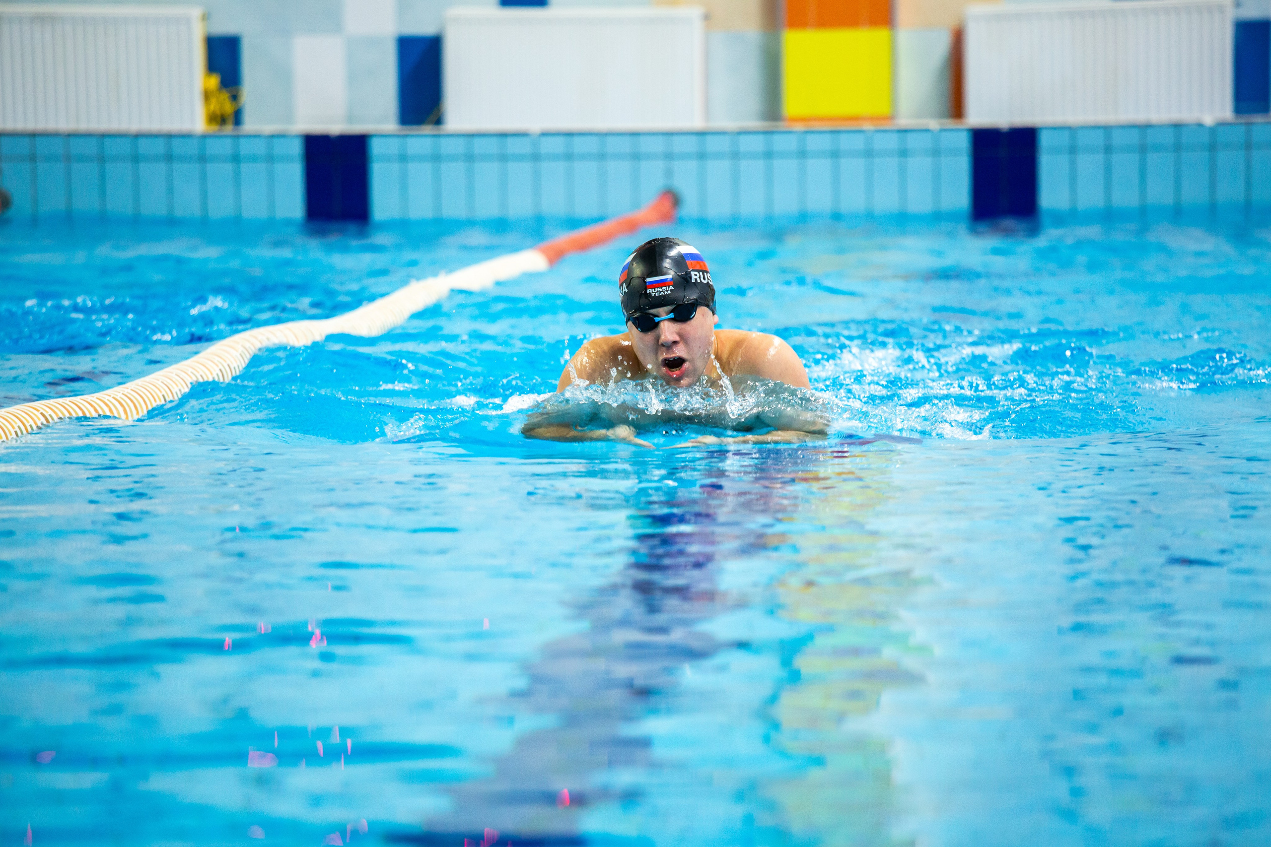 Турнир по плаванию. Репортажный, семейный, свадебный, портретный фотограф