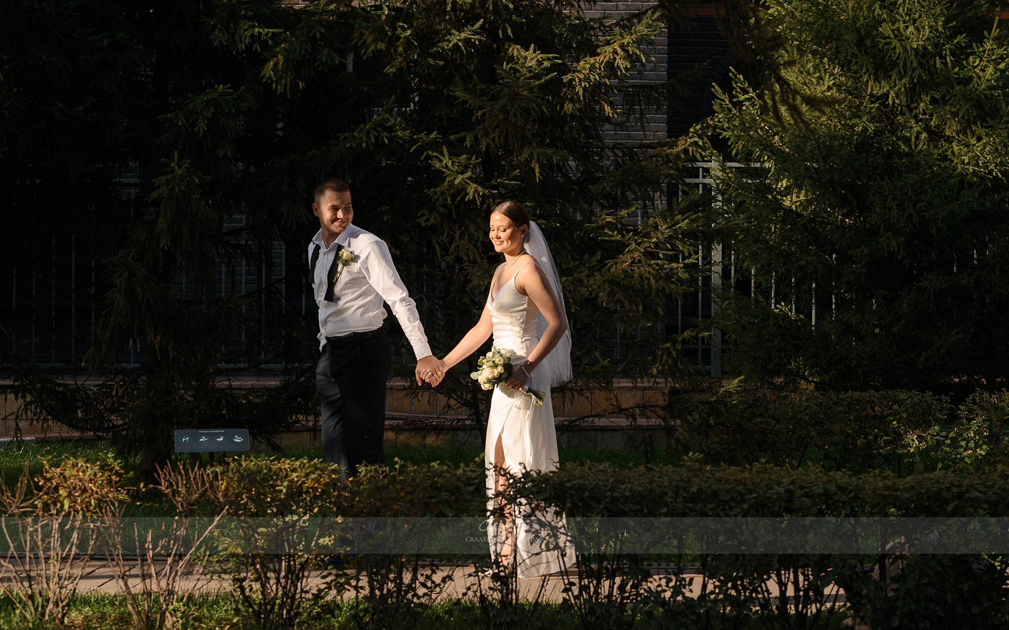 Идеальные фото для молодоженов: Новосибирск, эмоции и стиль. Свадебный и семейный, event фотограф, фоторепортаж в Новосибирске — Саша Кё