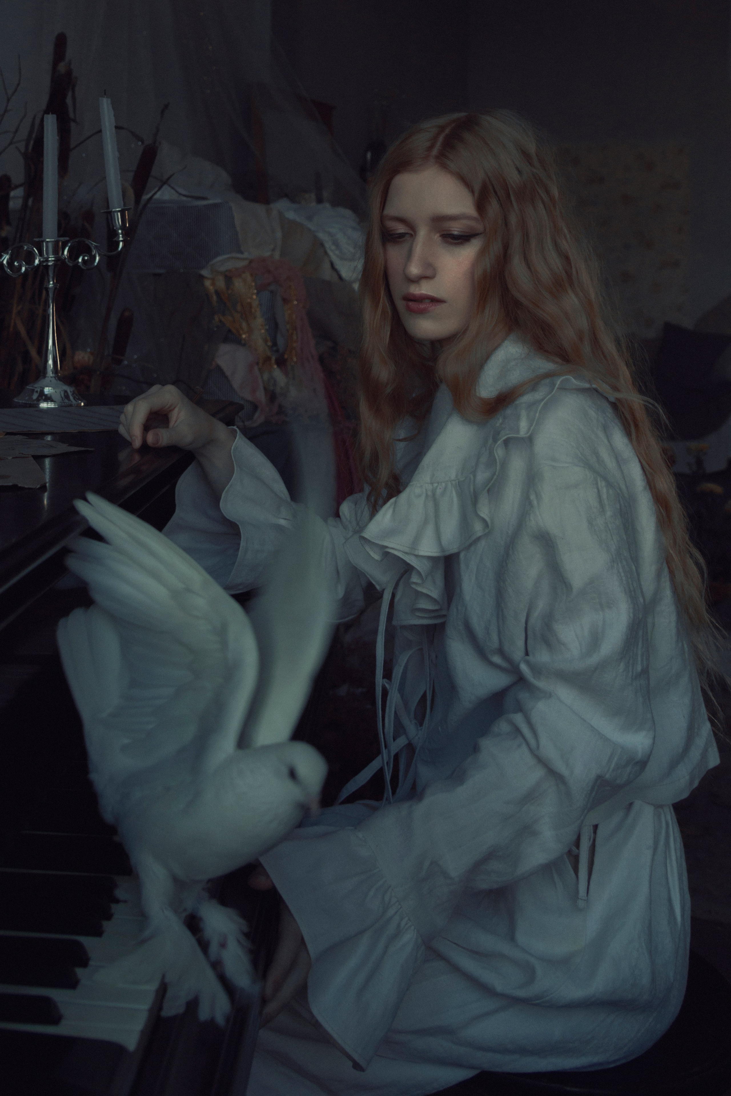 Голубь. Фотограф Anita Mivchas