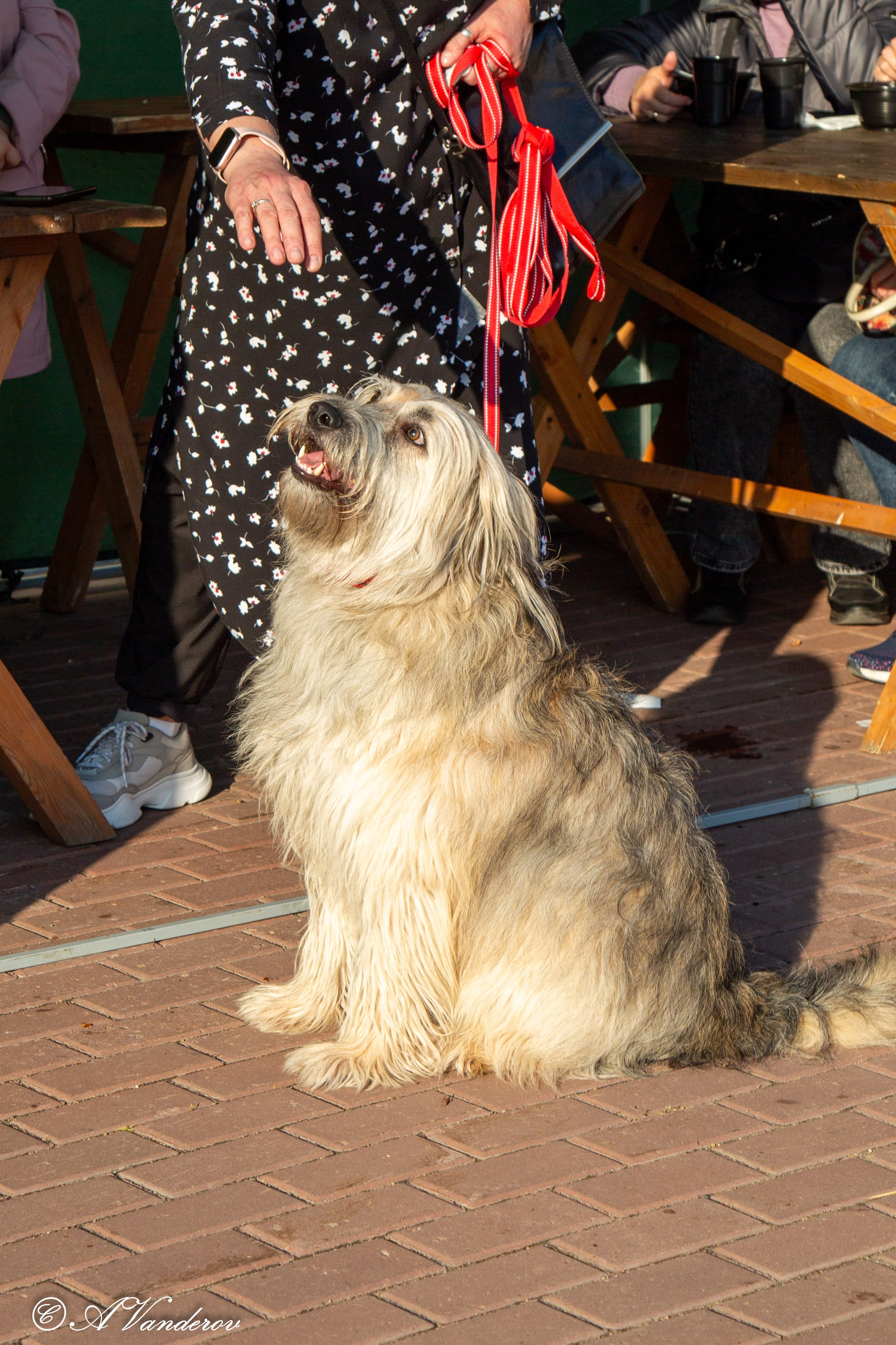 Осенины — 28.09.2024. Фотограф Омск | Александр Вандеров