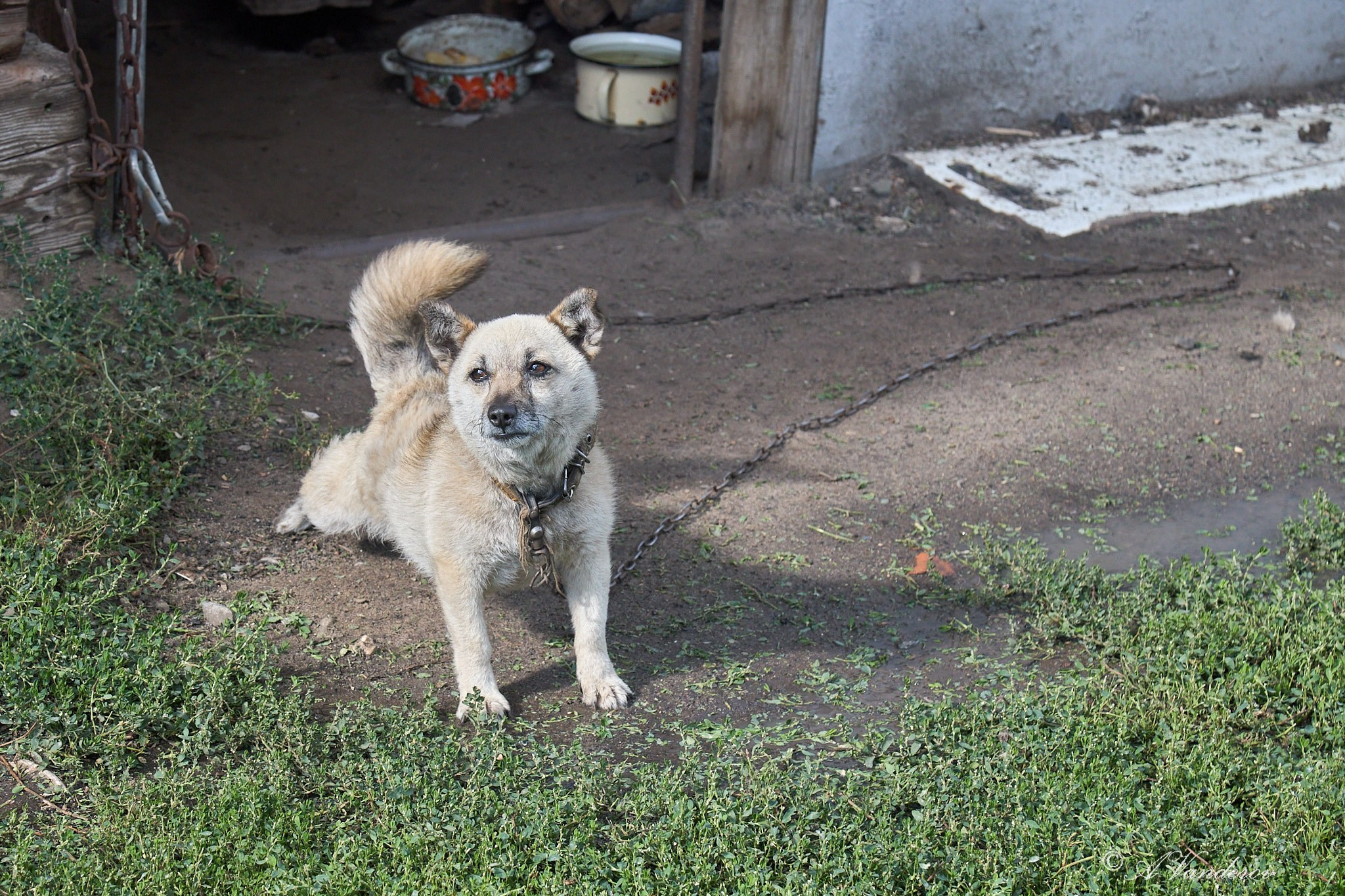 Село Савкино Баганского района Новосибирской области. Фотограф Омск | Александр Вандеров