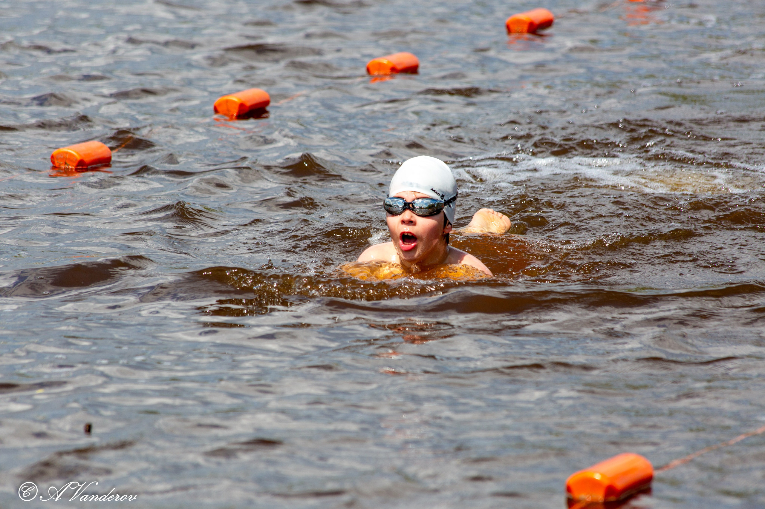 Заплыв 02.06.2024. Фотограф Омск | Александр Вандеров