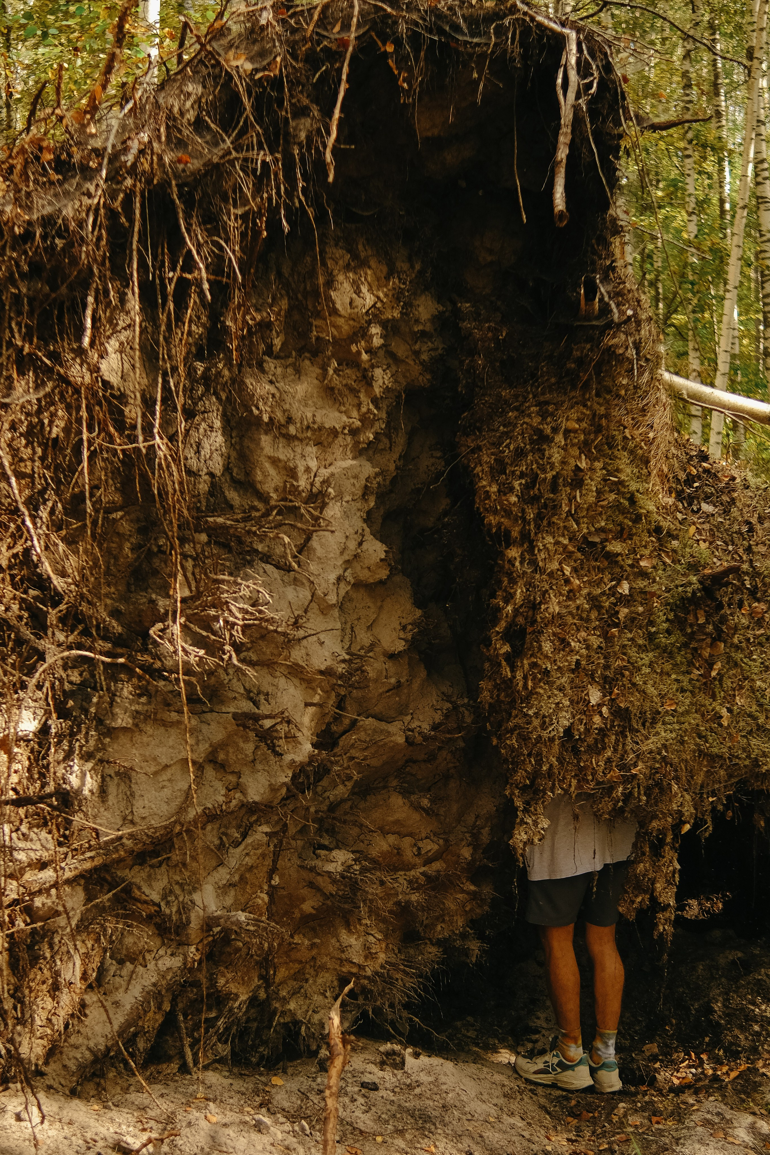 Поход по лесу в Марий-Эл. Обо мне