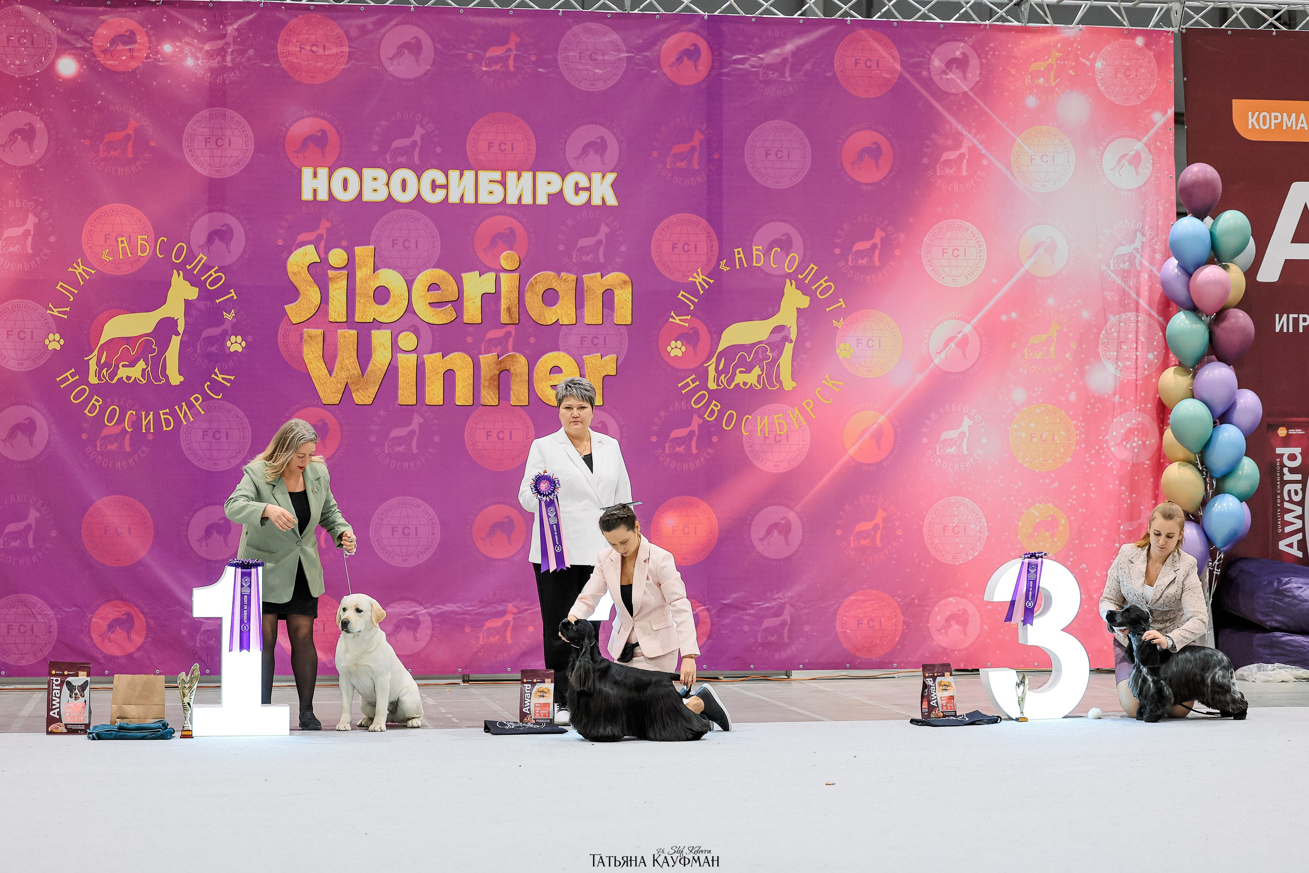 28-29.03.2026 Рейтинговая выставка в Новосибирске. Фотограф Анималист из Новосибирска Татьяна Кауфман