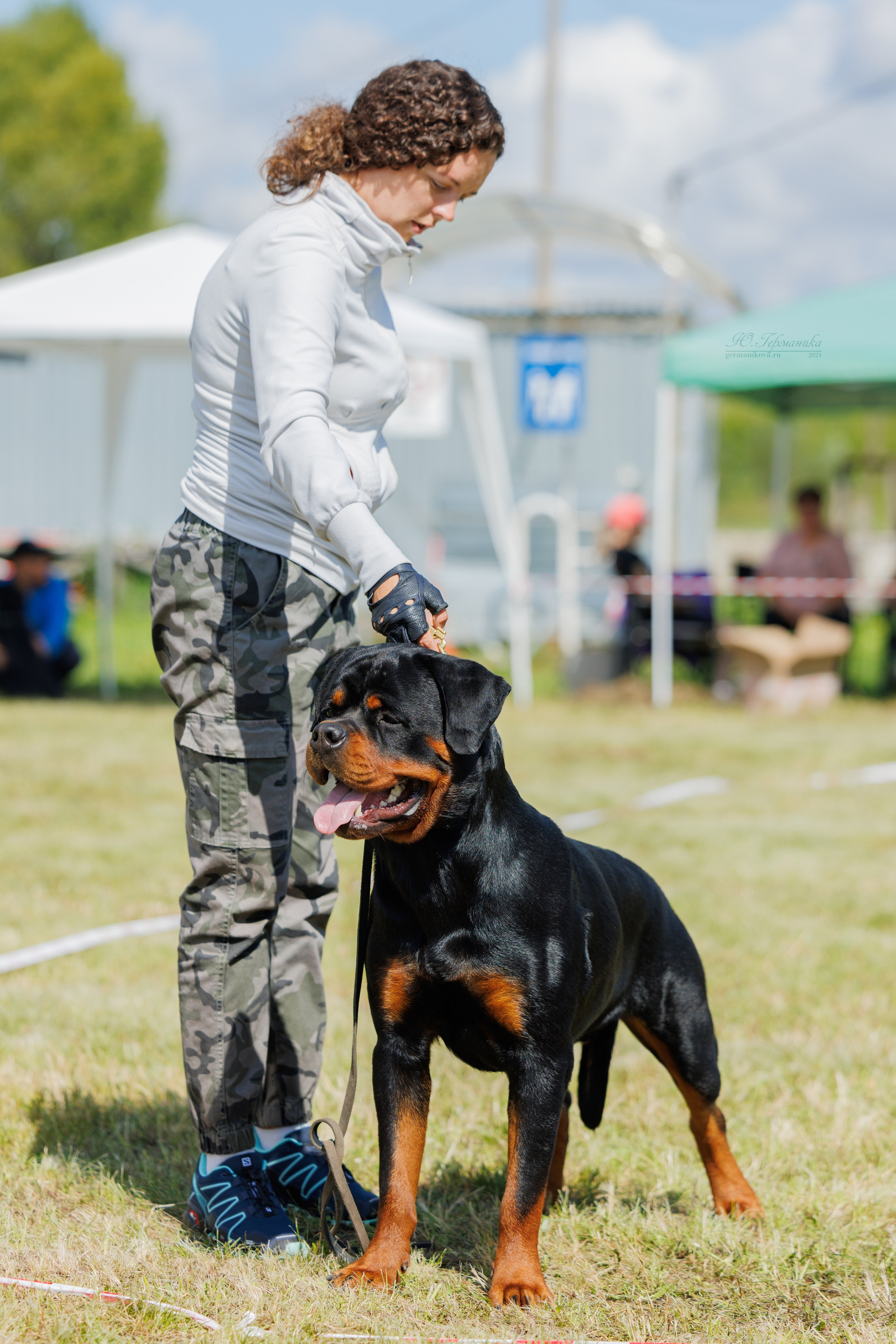 Рязань-Ховрино 10-11.08.2024 3хмоно ротвейлеров. Фотограф-анималист Юлия Германика